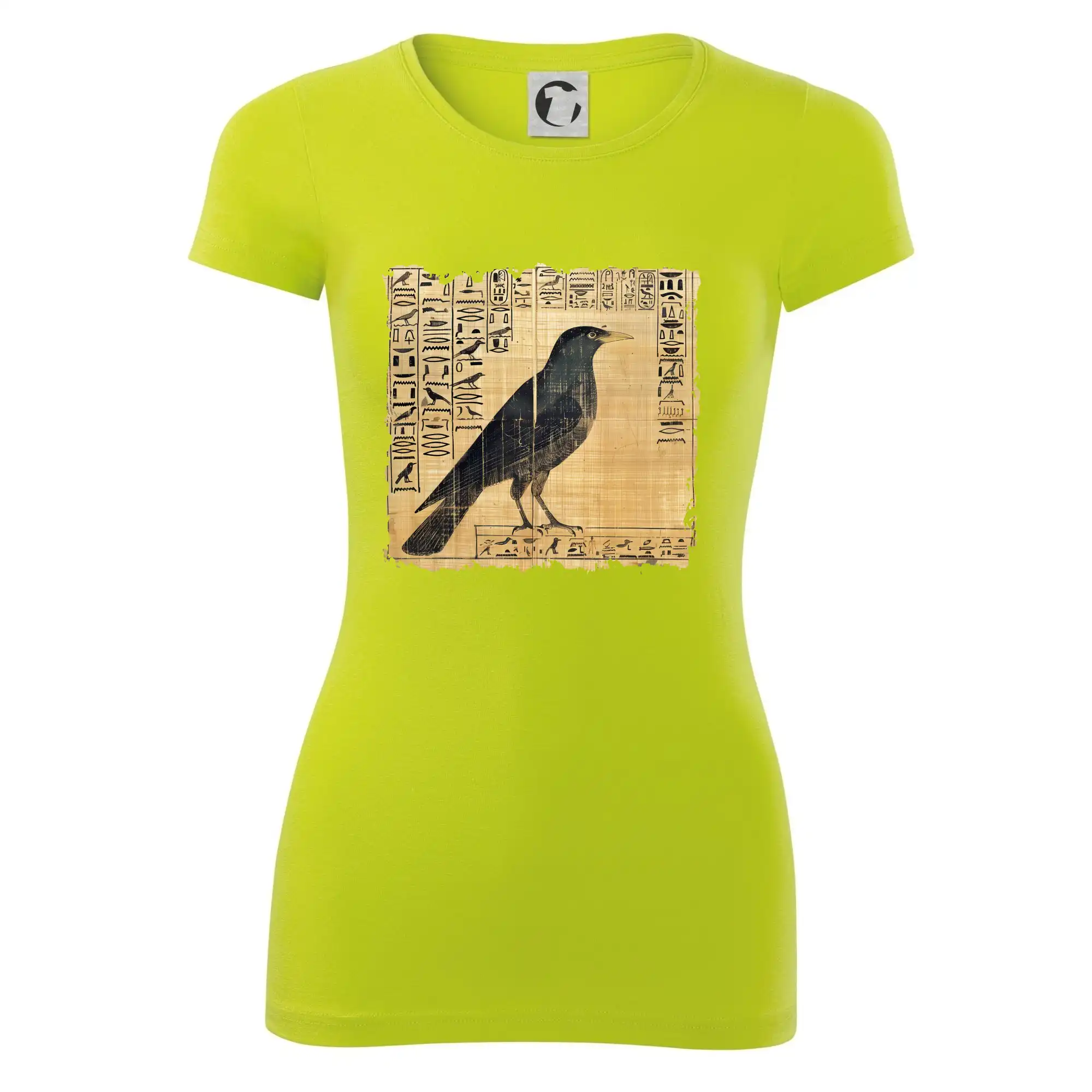 Egyptské hieroglyfy pták