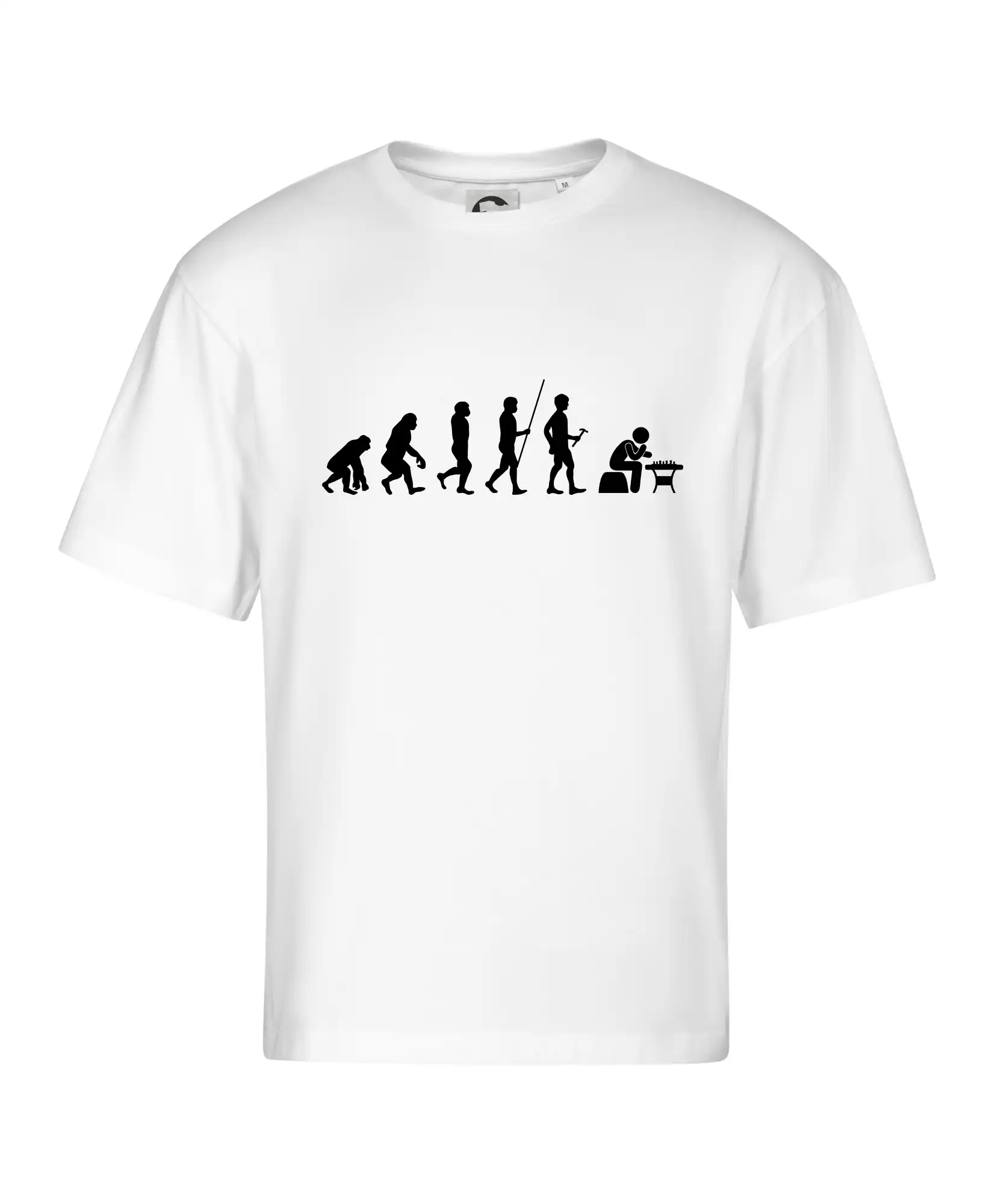 Evoluce šachy
