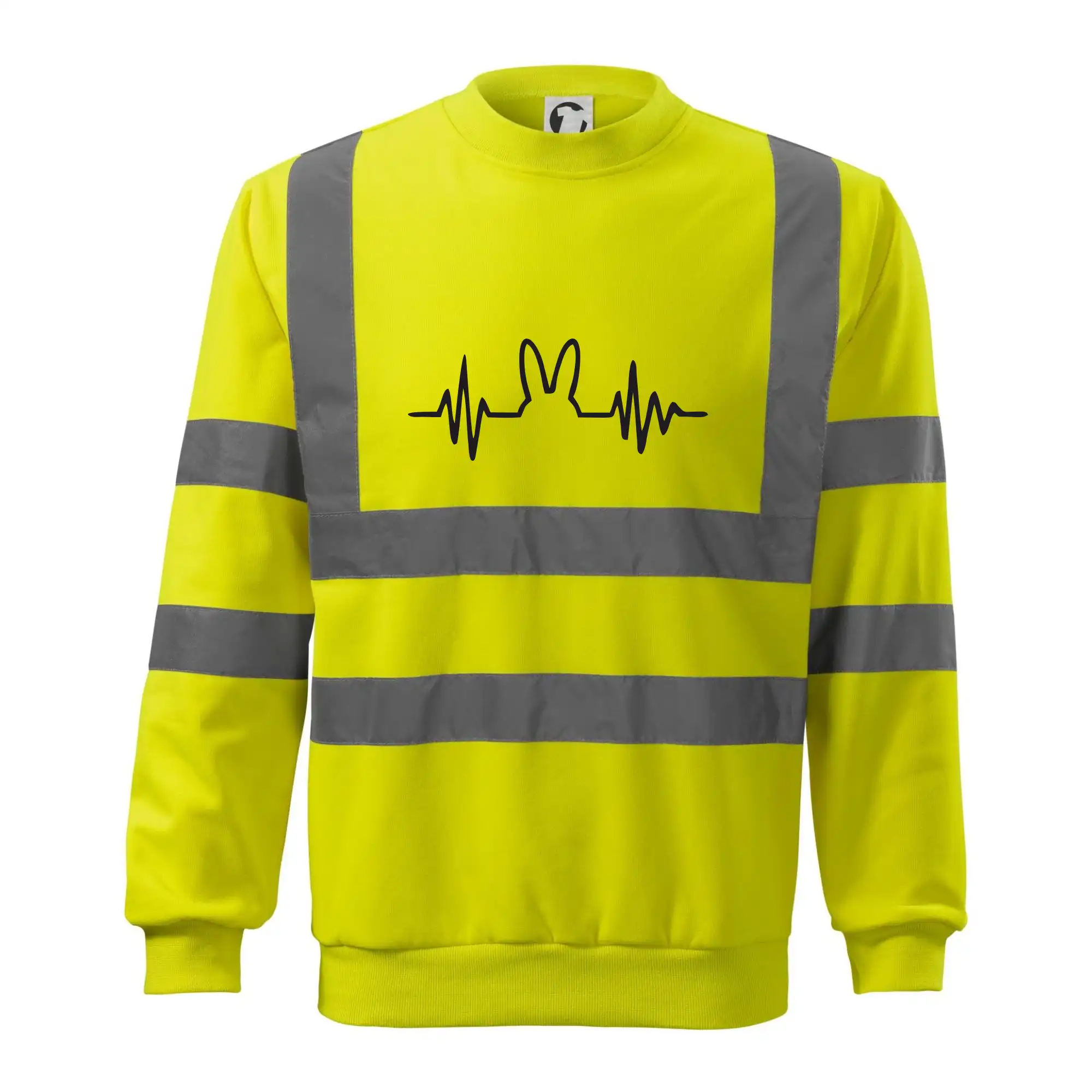 EKG zajíc