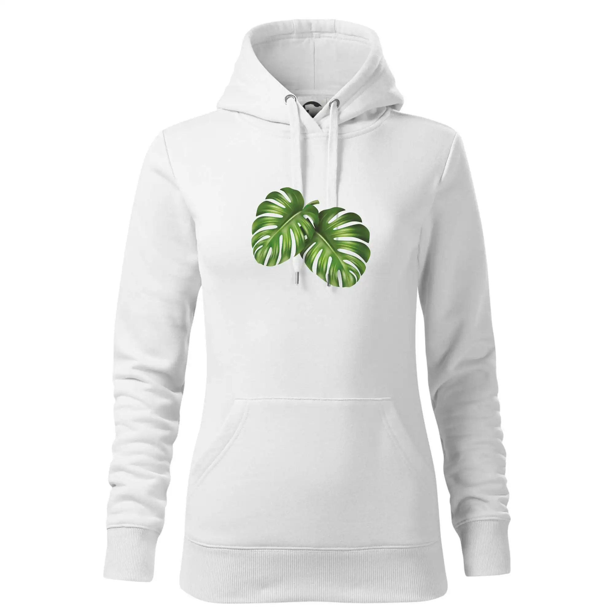 Monstera - dva listy