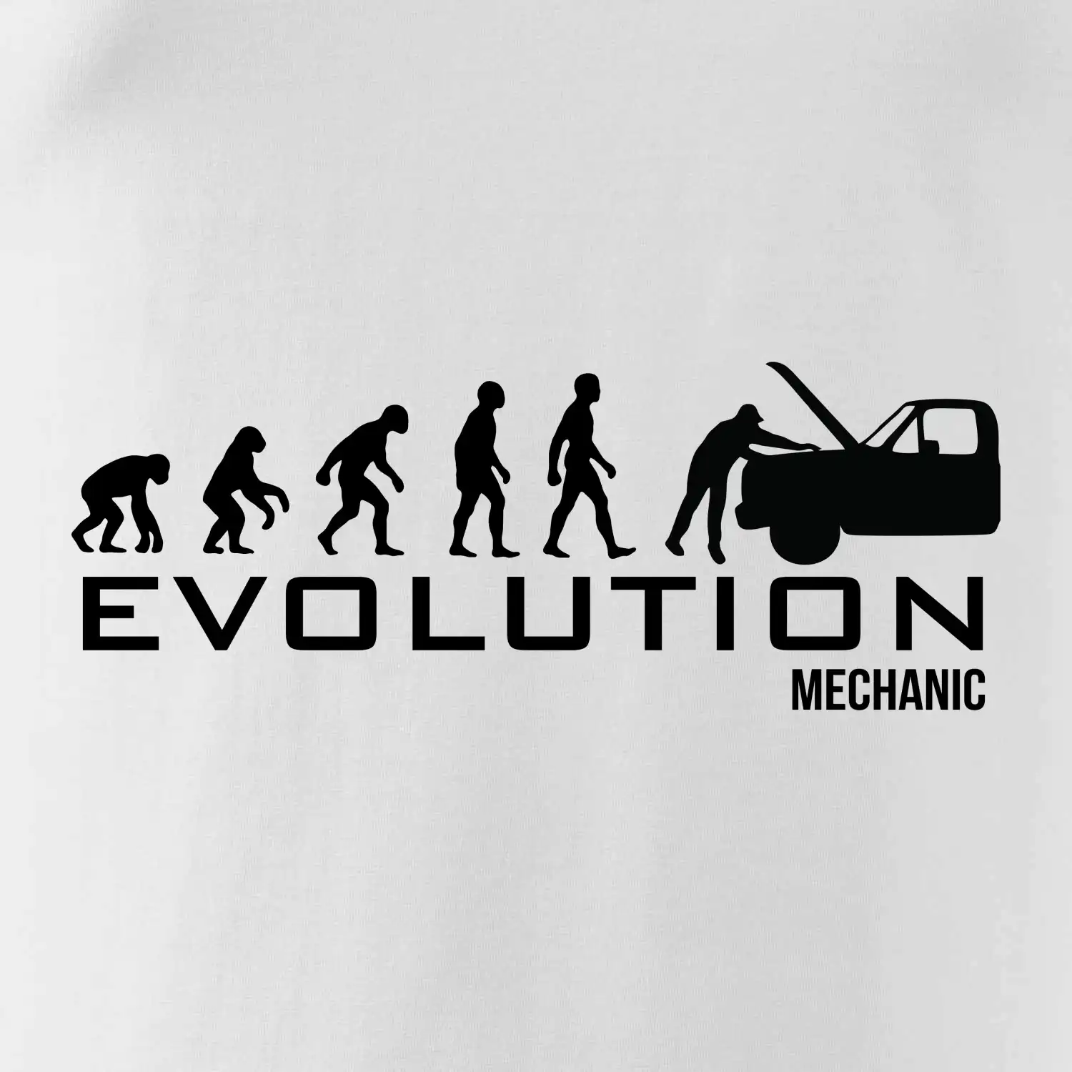 Evoluce mechanik