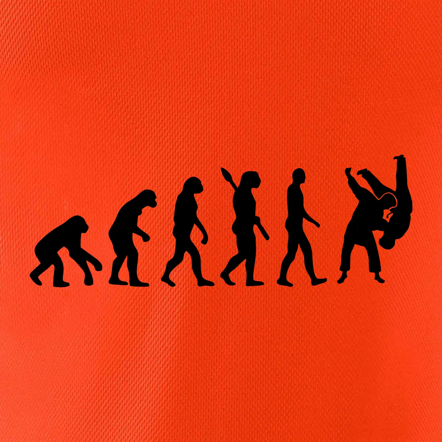 Judo Evoluce boj