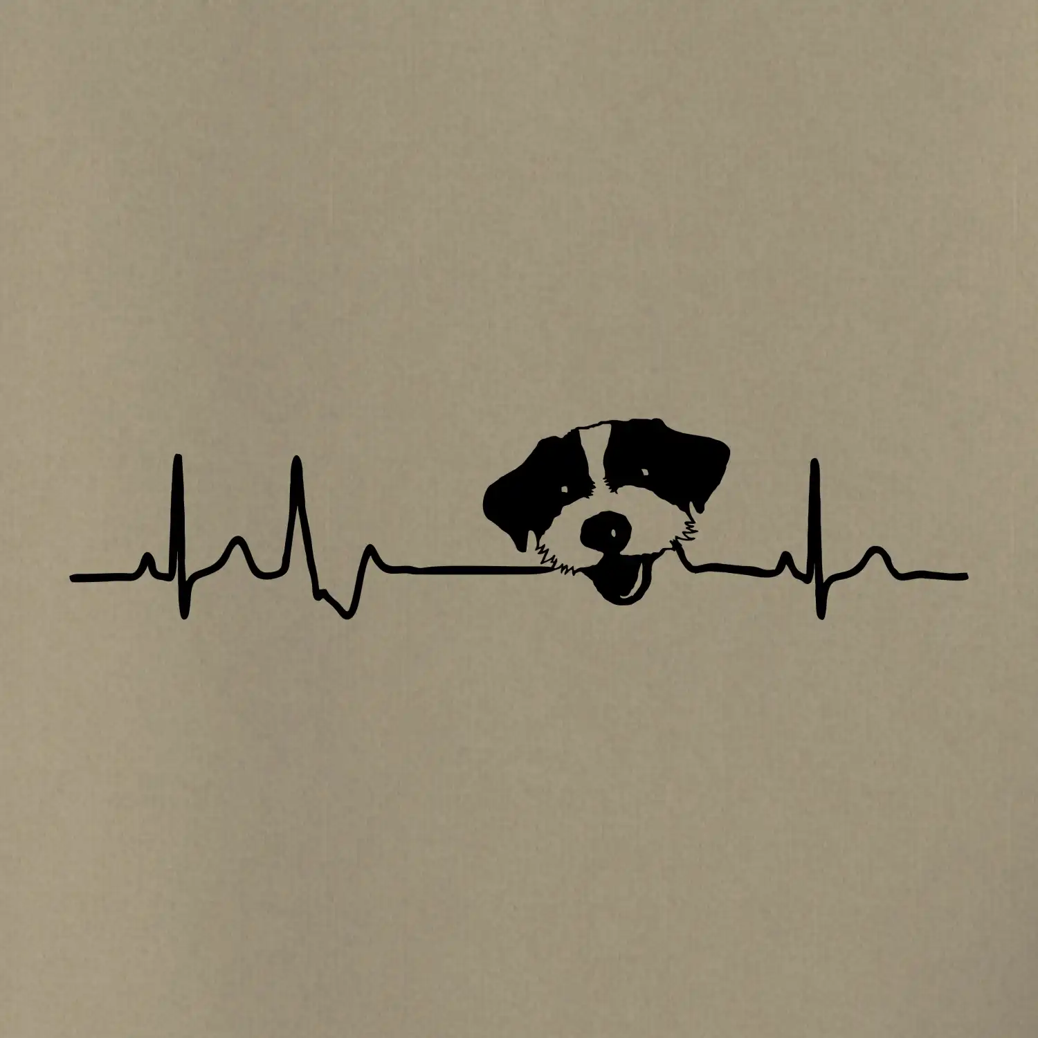 Jack Russell Terriér hrubosrstý Ekg