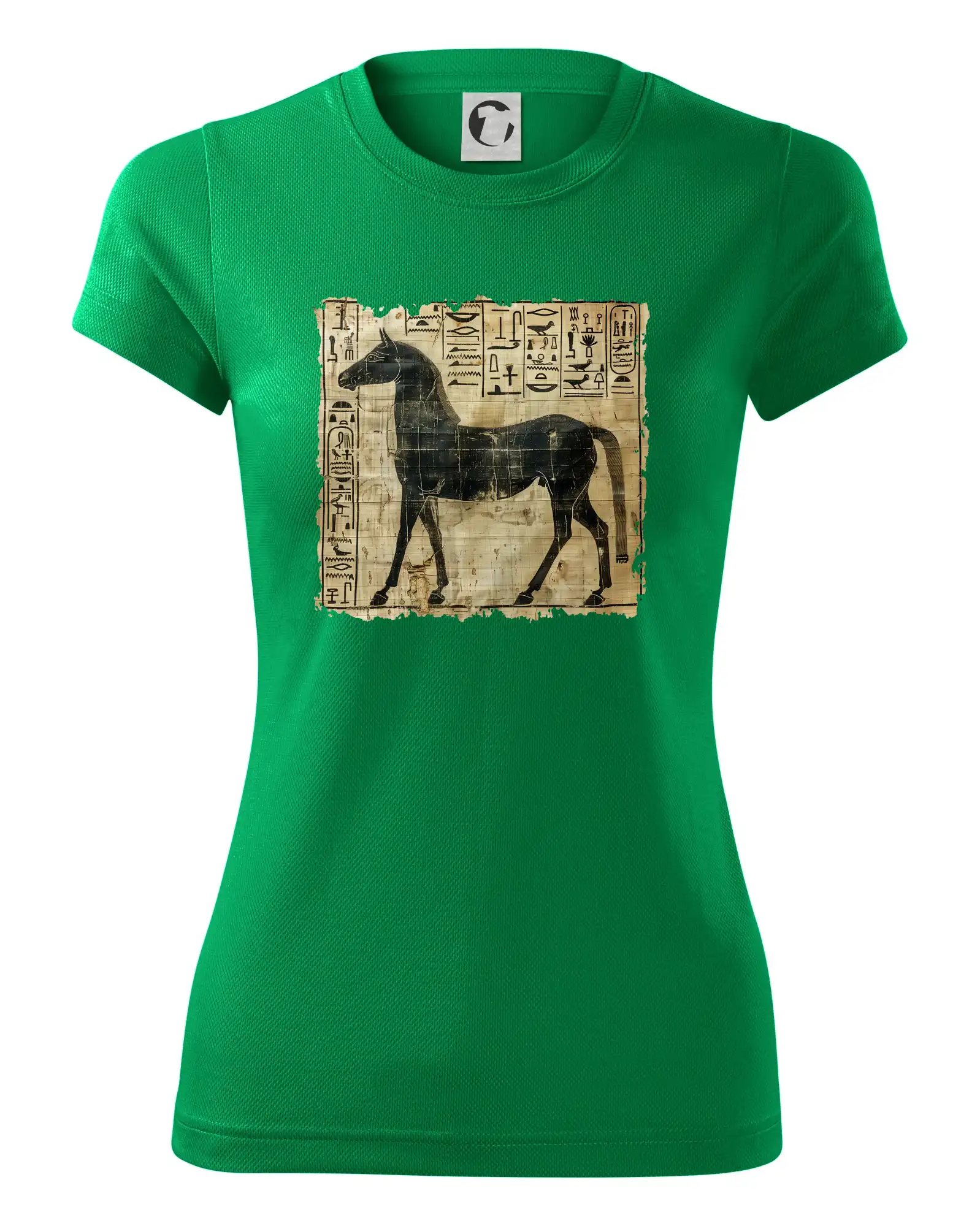 Egyptské hieroglyfy kůň