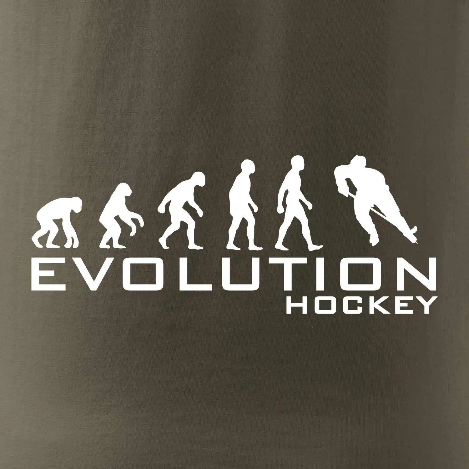 Evoluce Hockey - hráč