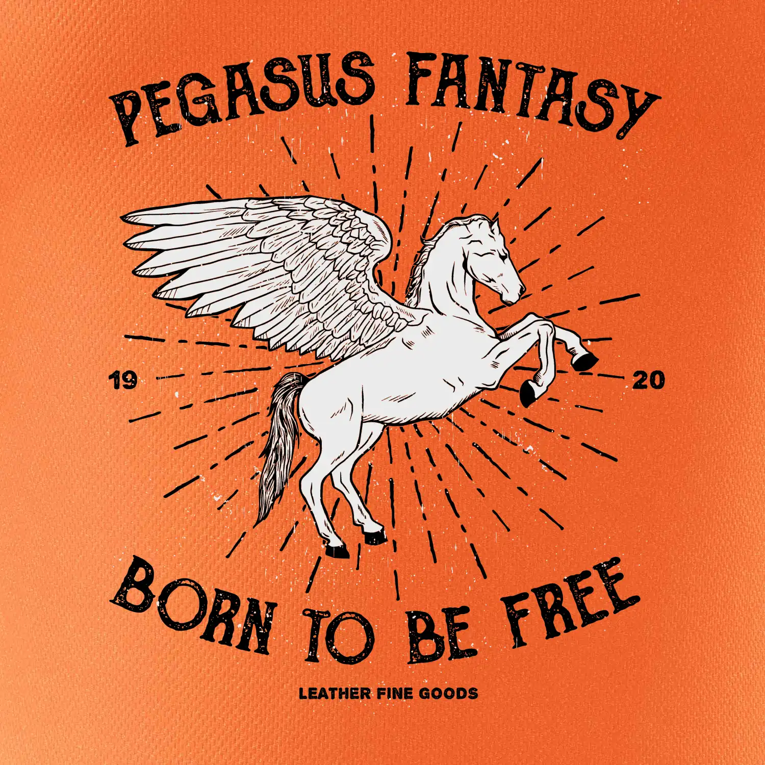 Pegasus fantasy