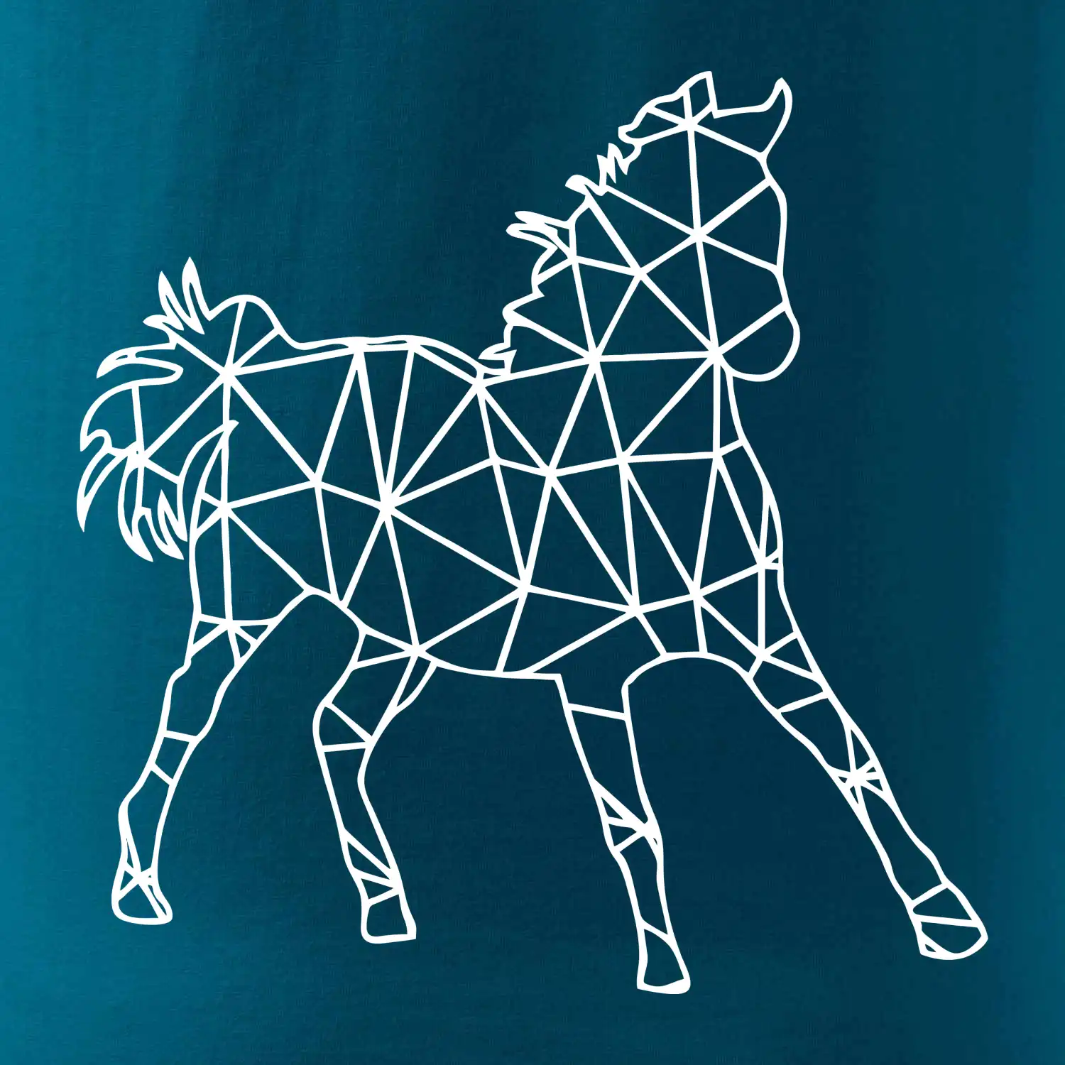 Geometrie - kůň jednobarevná