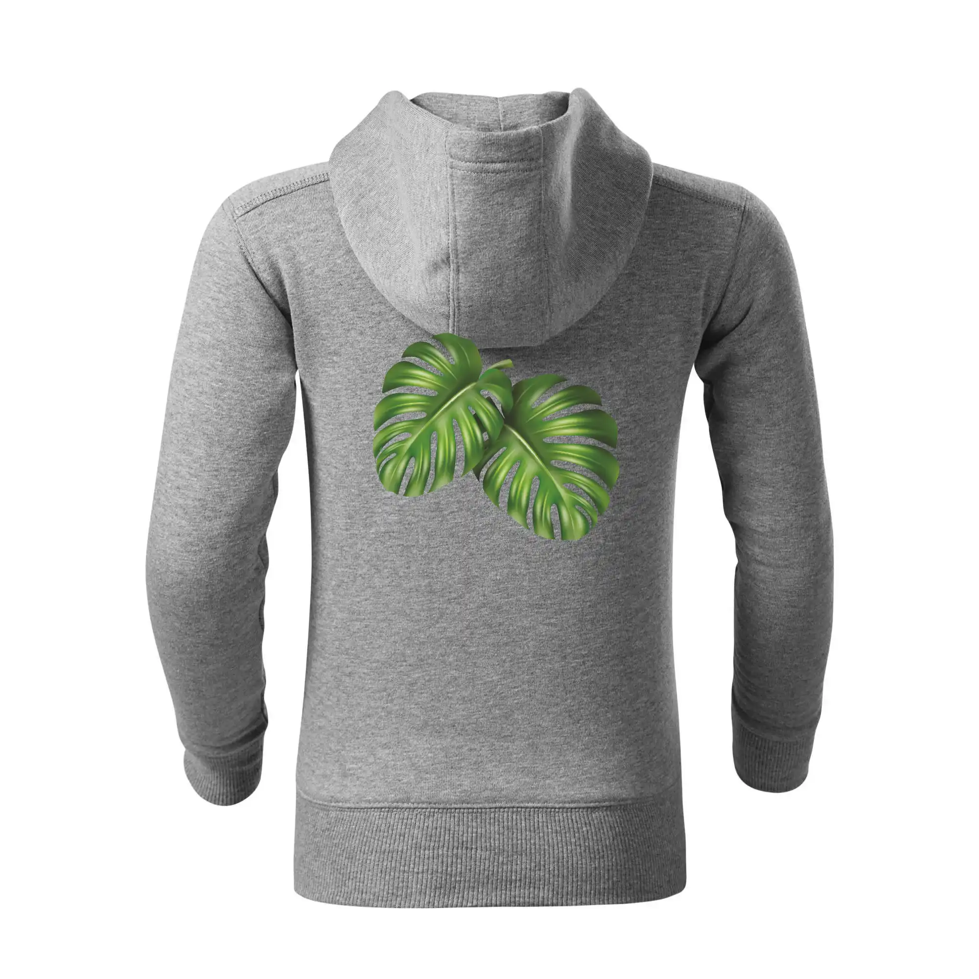 Monstera - dva listy