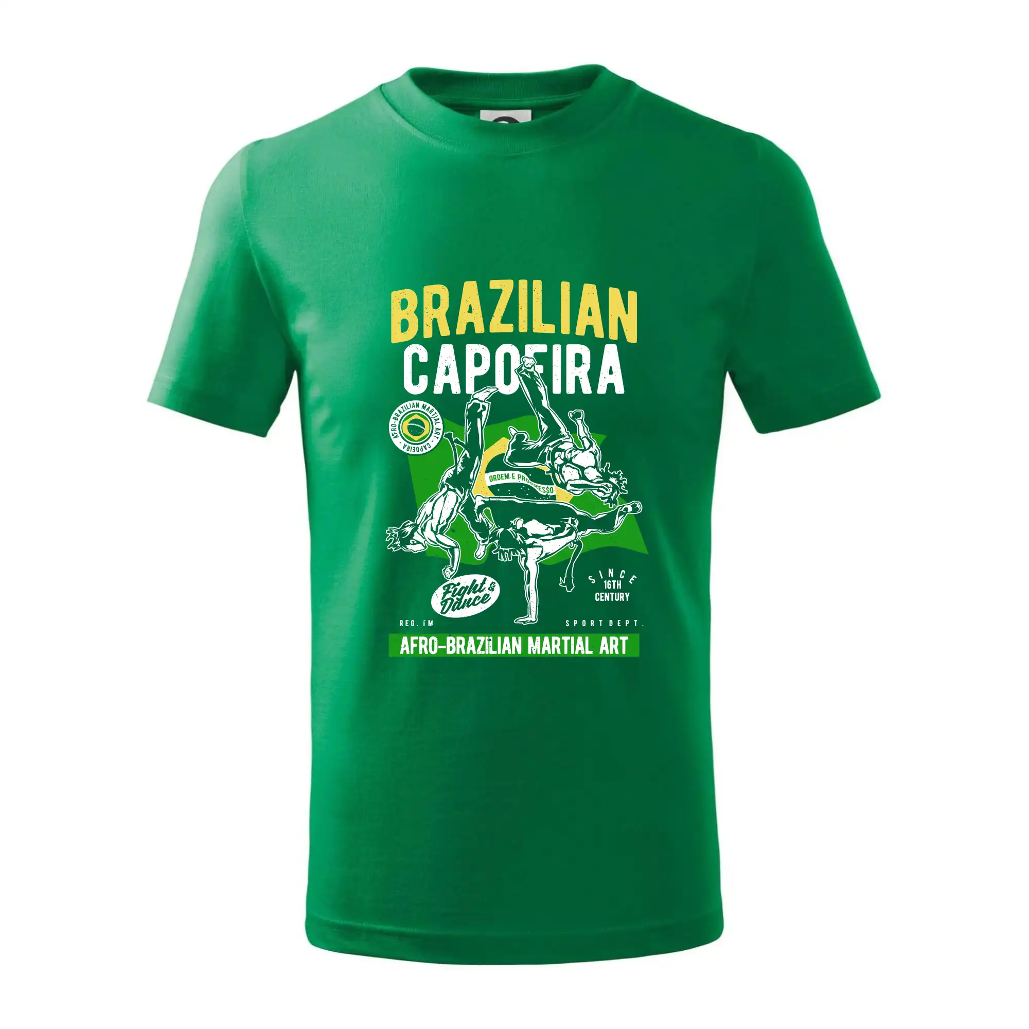 Brazilian Capoeira