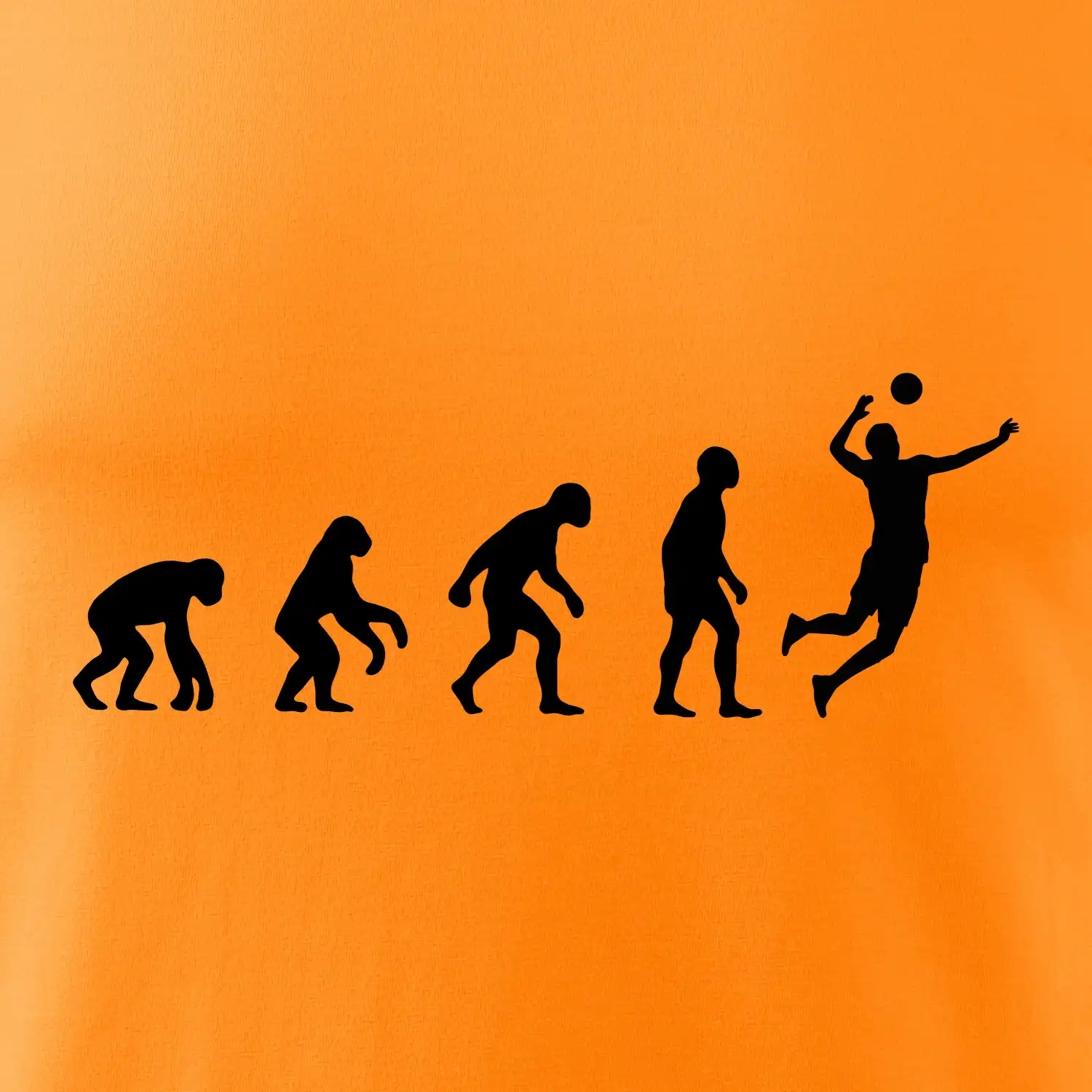 Evoluce volejbal muž