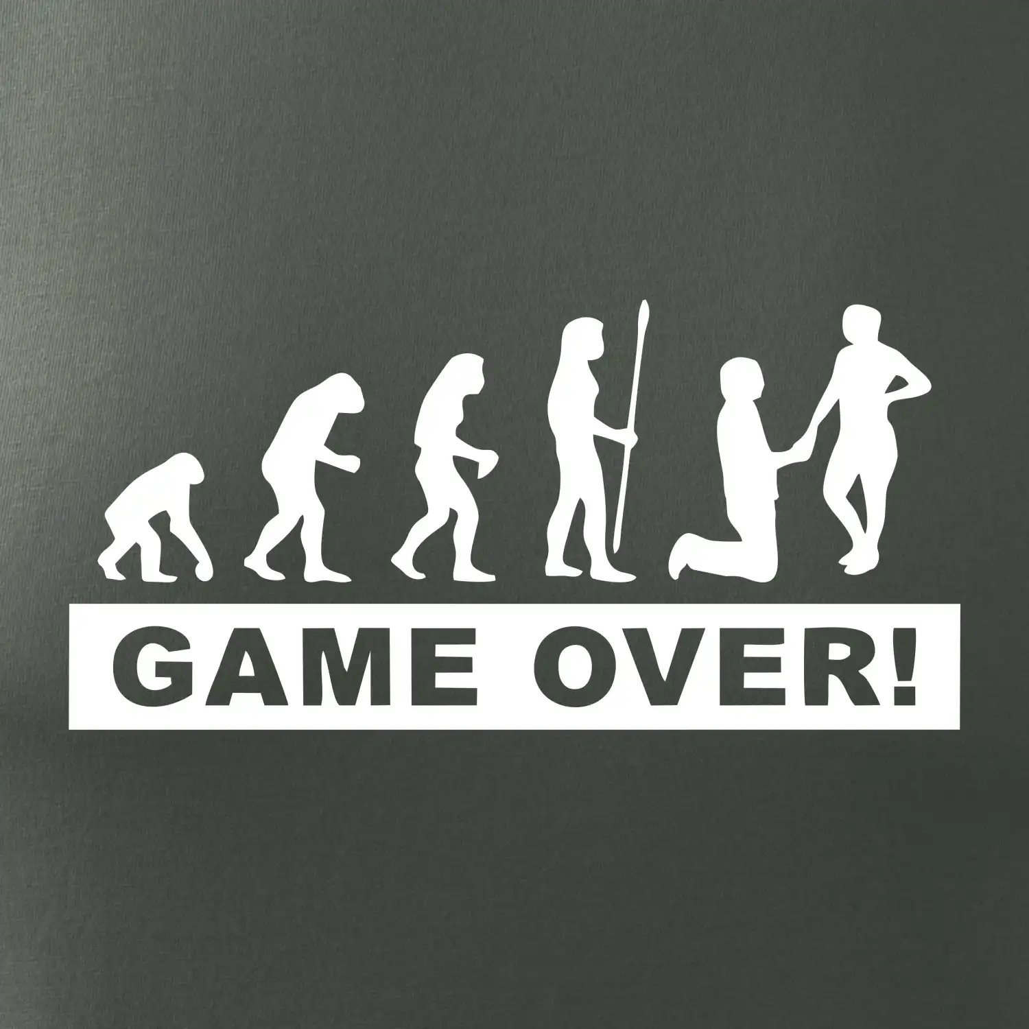 Game over evoluce