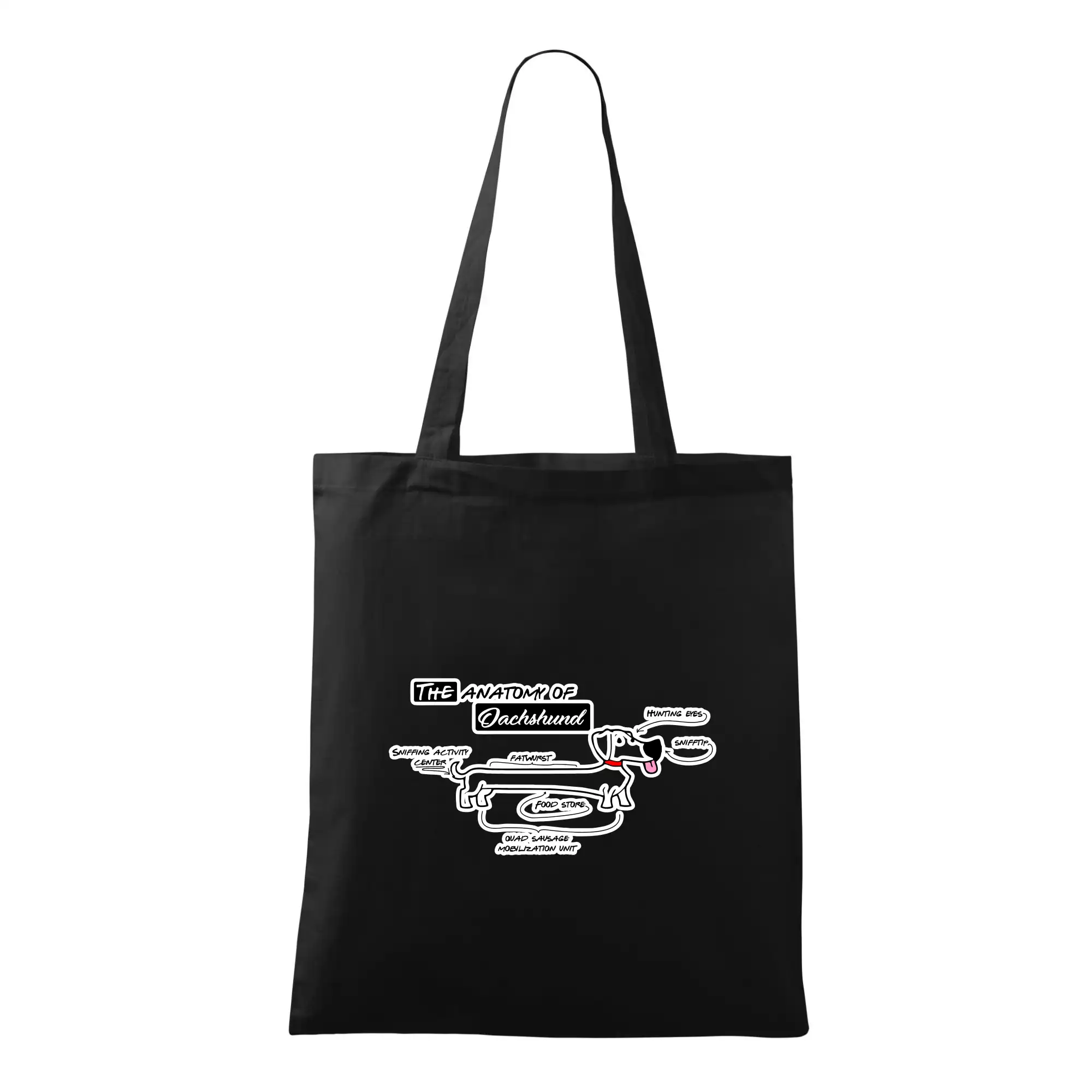 Jezevčík - Anatomie