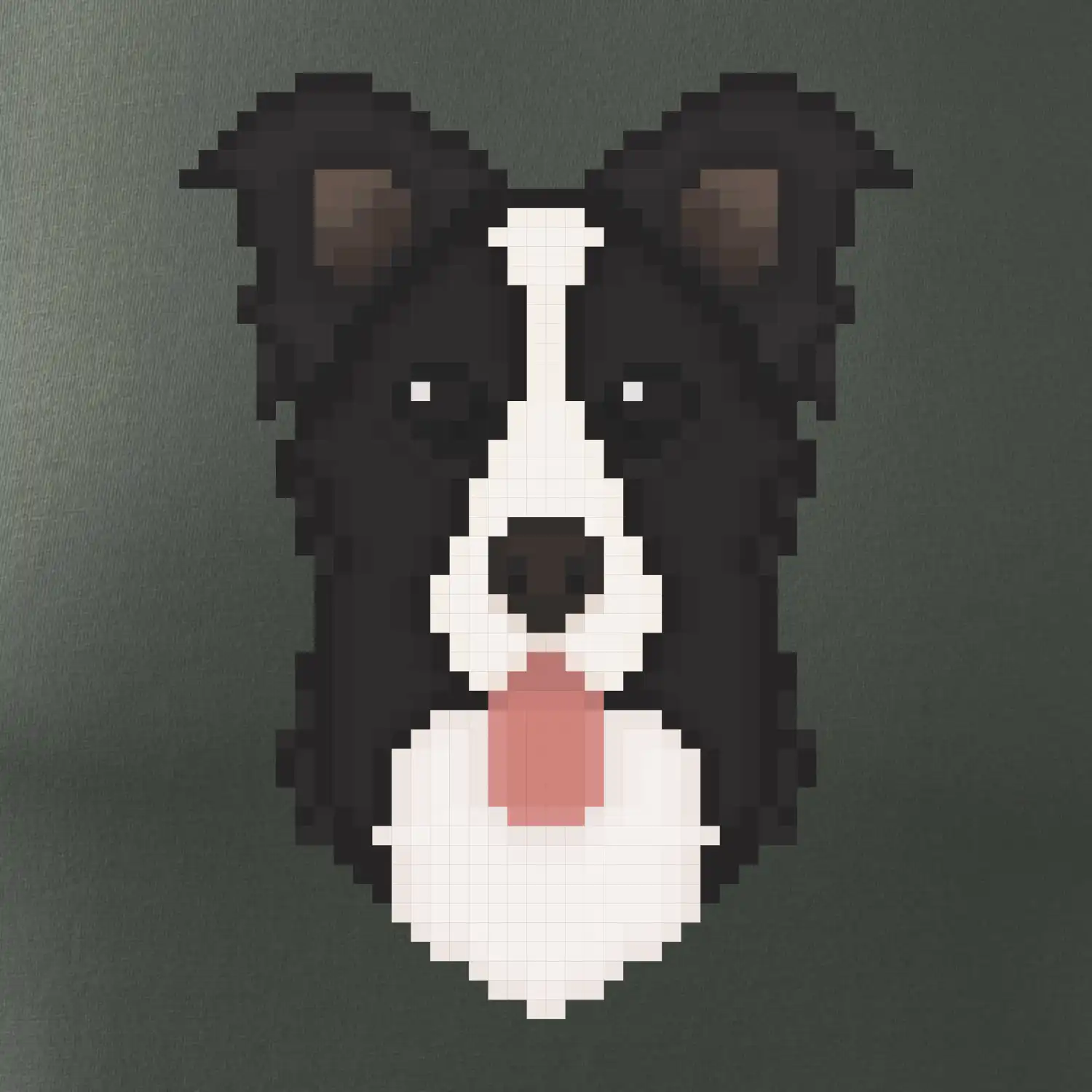 Border kolie Pixel