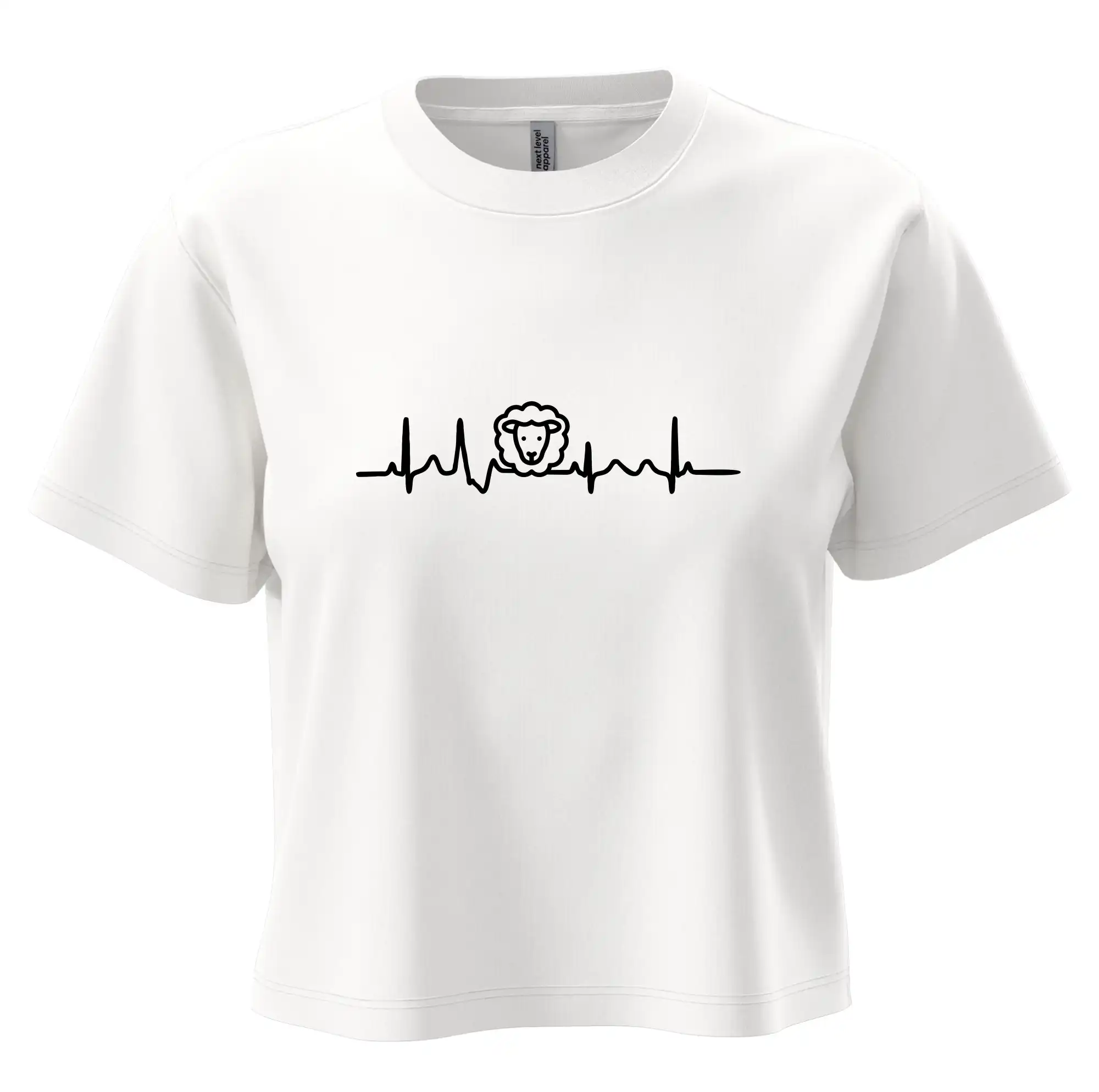 Ekg ovce