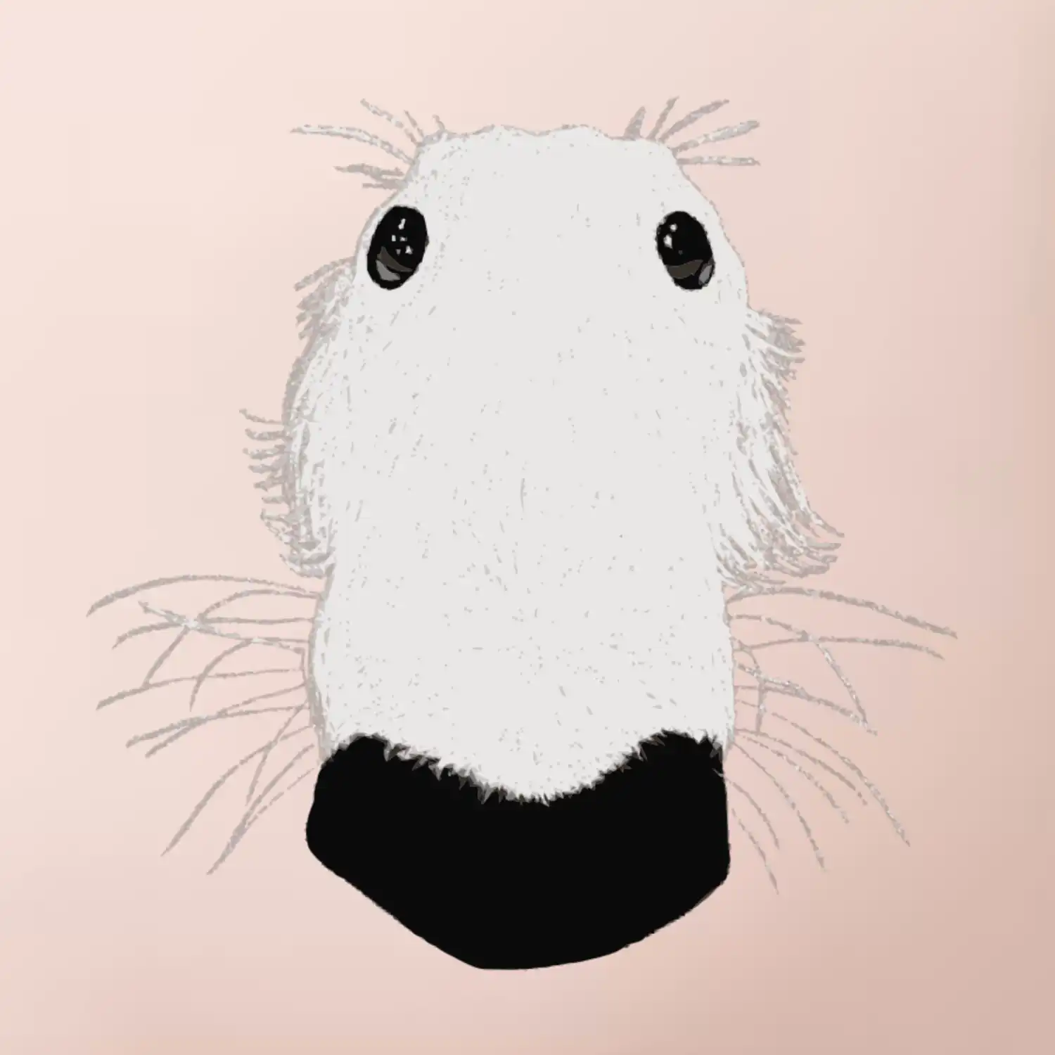 Barzoj čumák (Moňas)