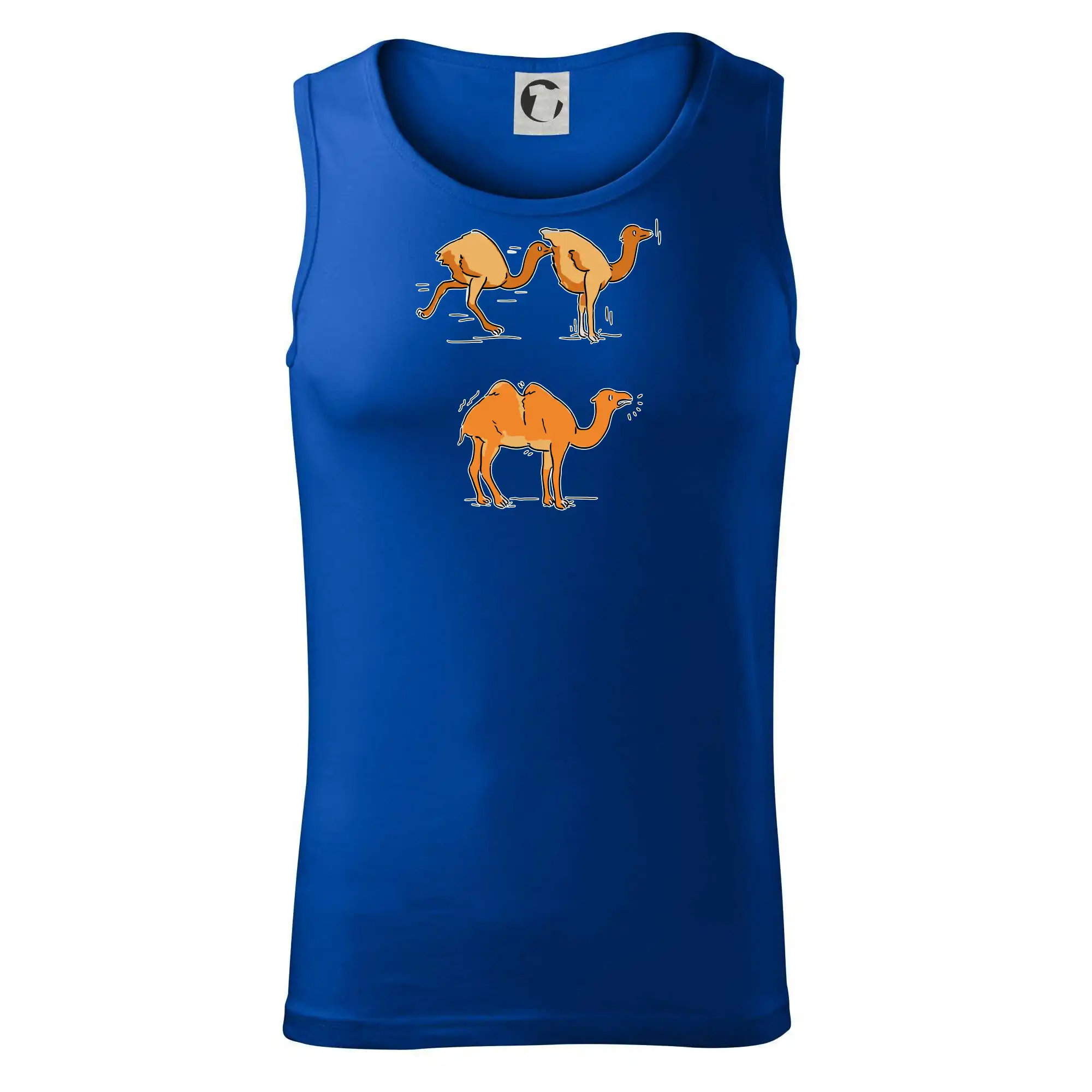 Pravda o velbloudech