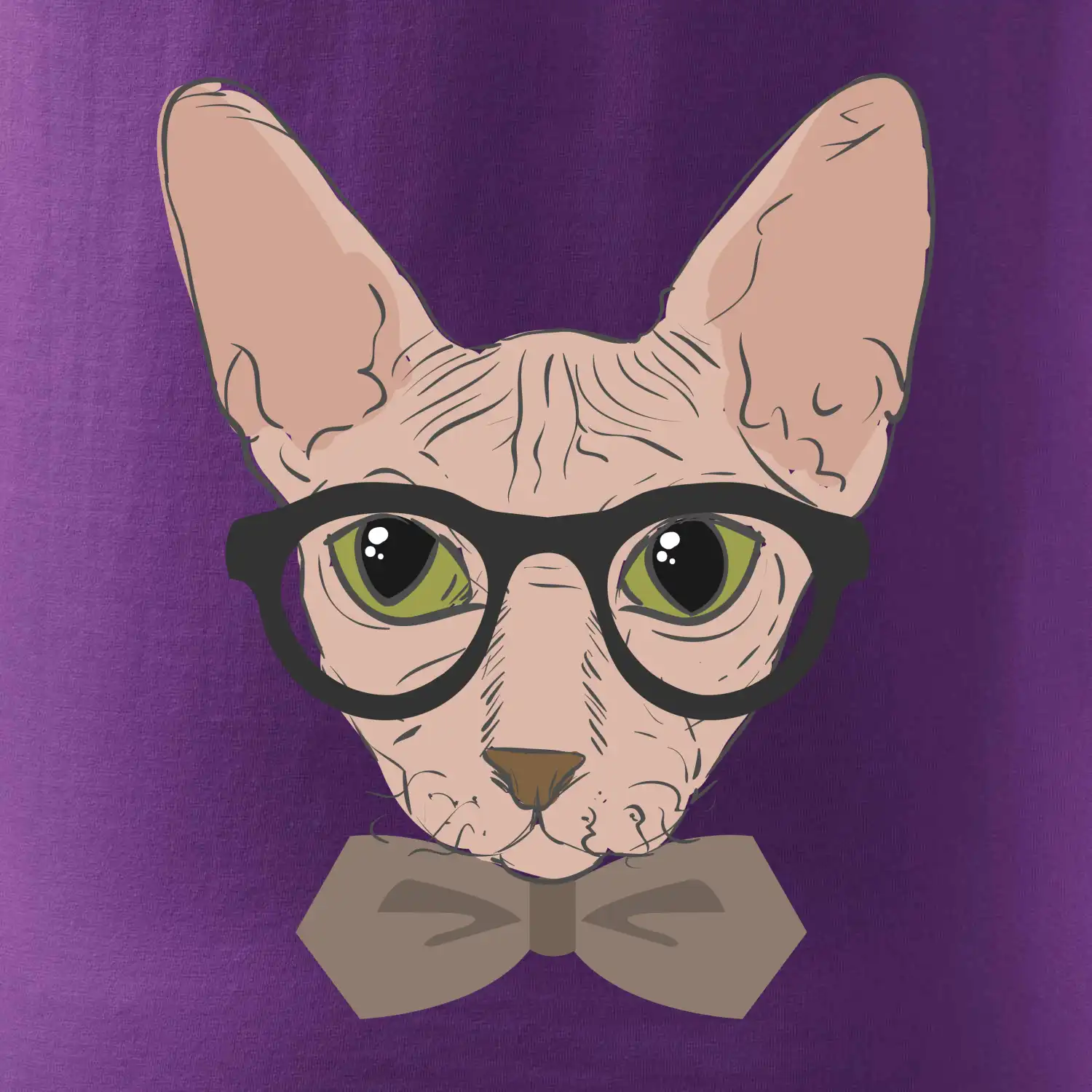 Hipster sphynx