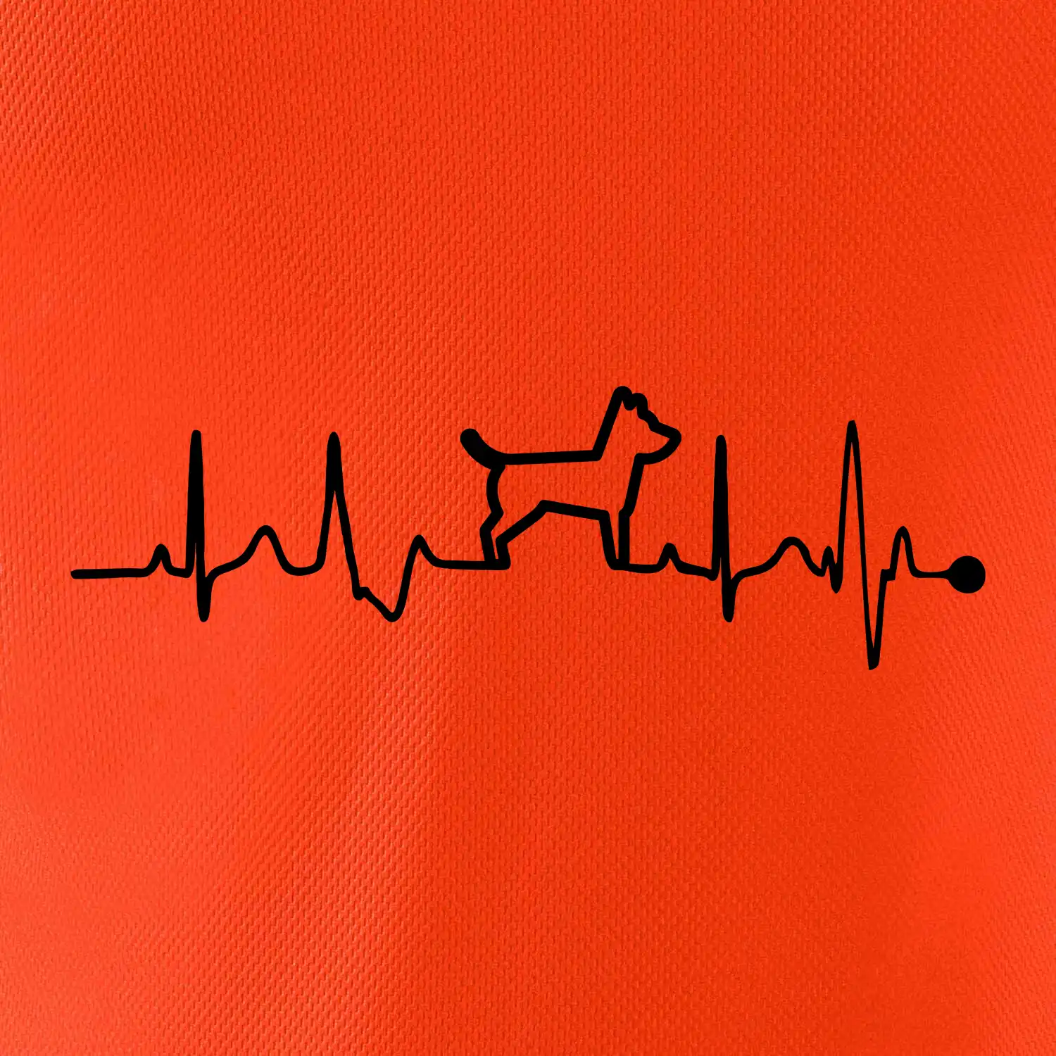 Ekg psí obrys