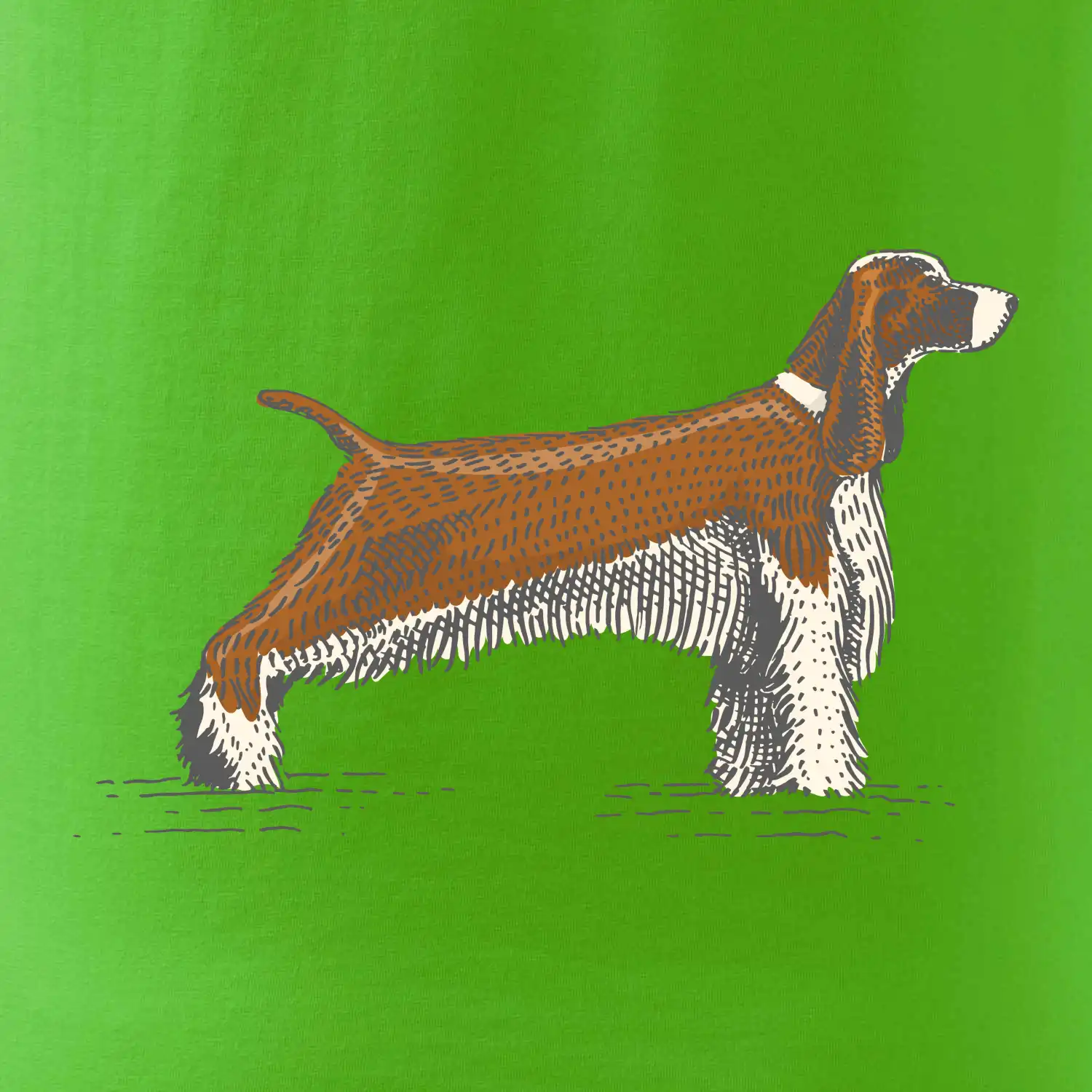 Vintage Springer spaniel