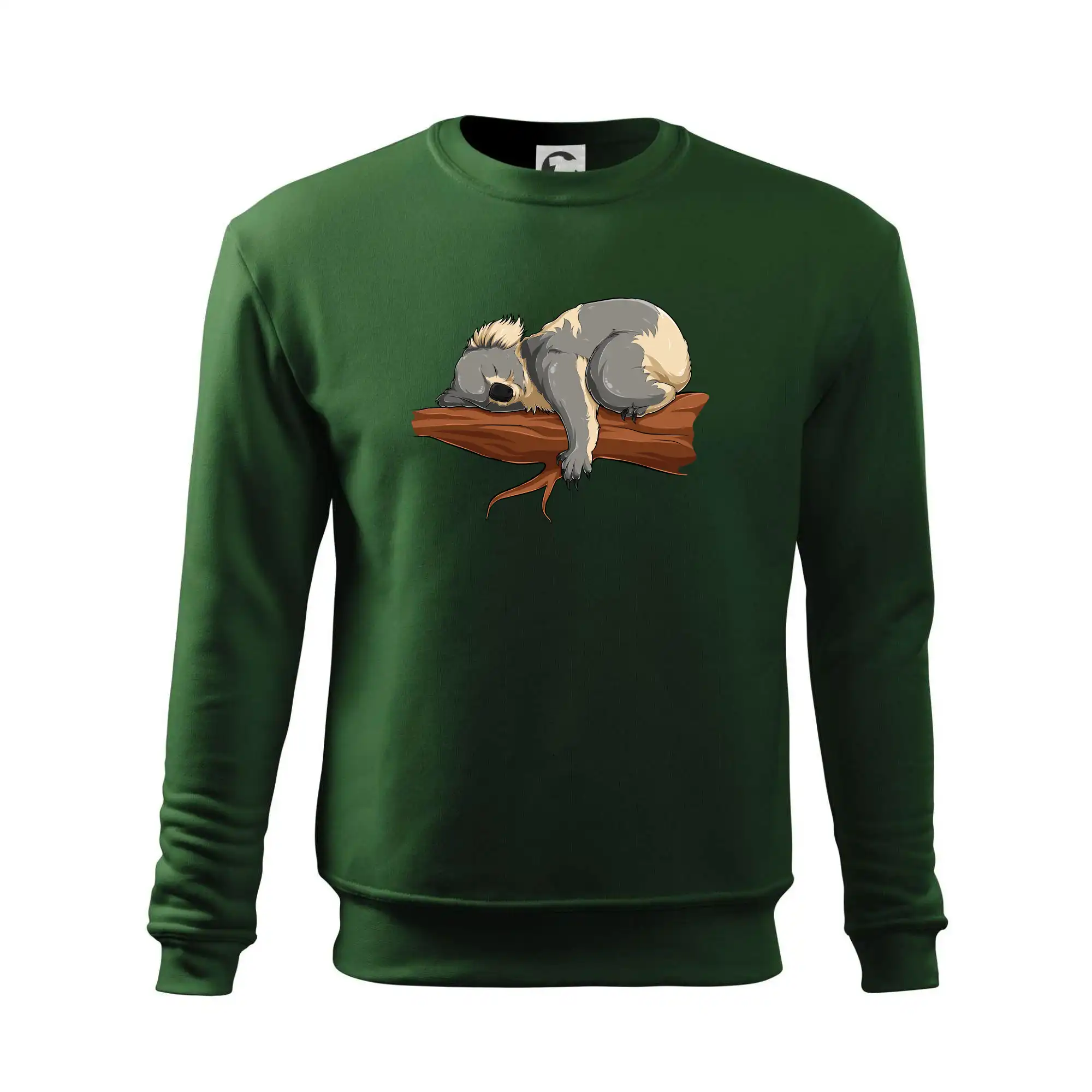 Koala na větvi