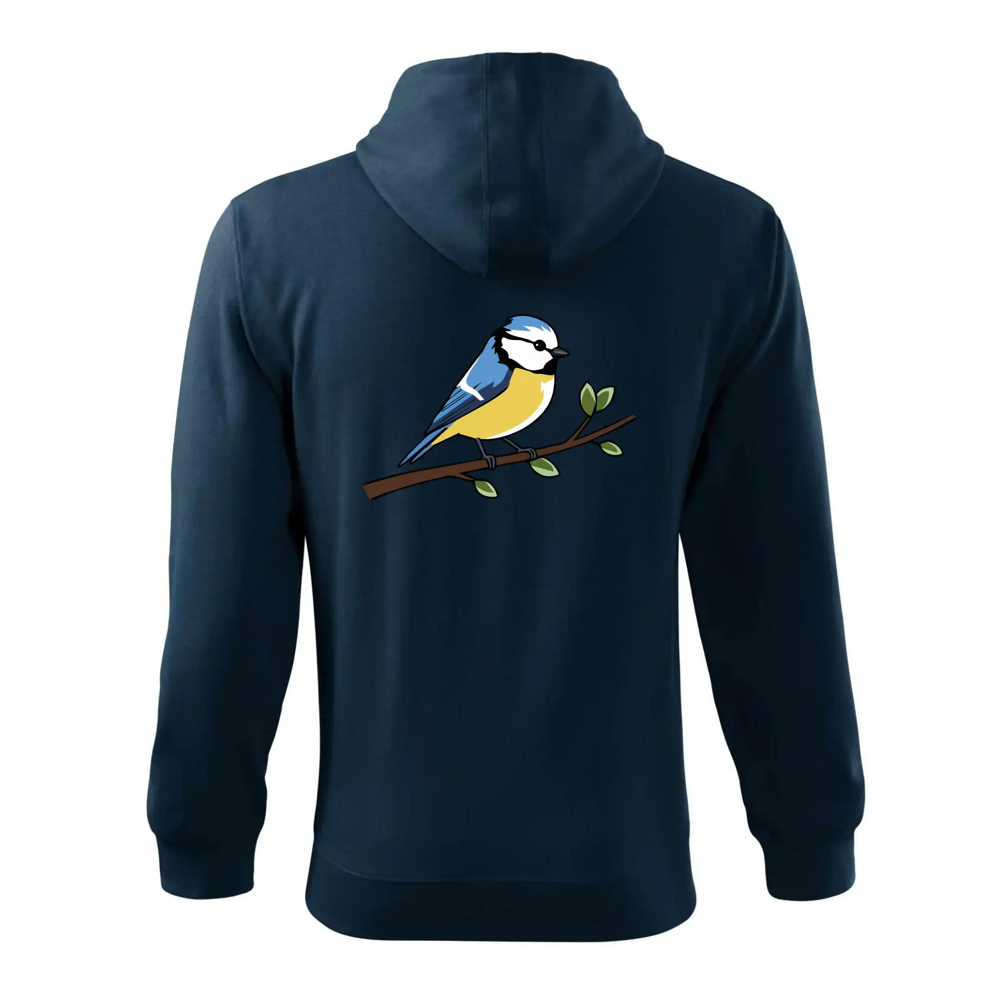 Sýkorka modřinka na větvi