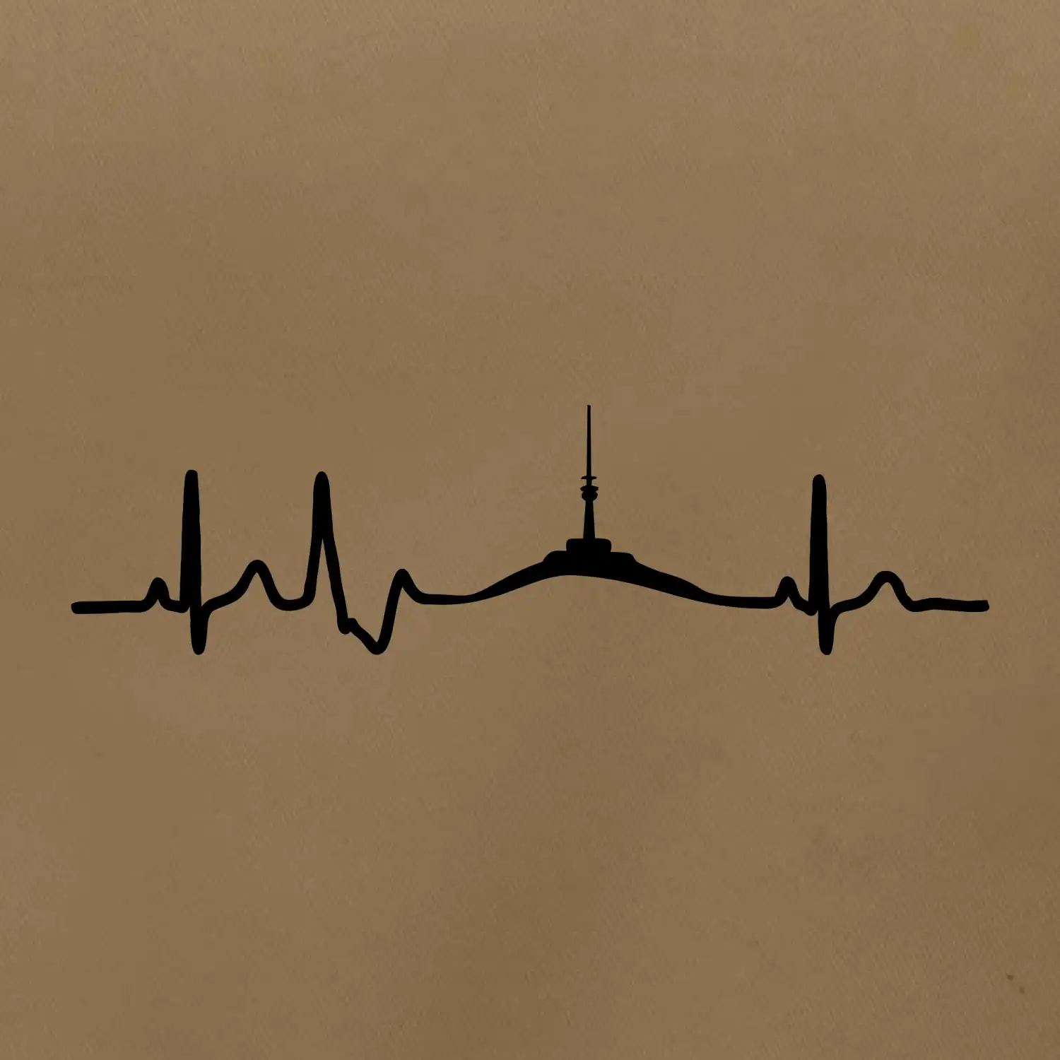 Ekg Jeseníky