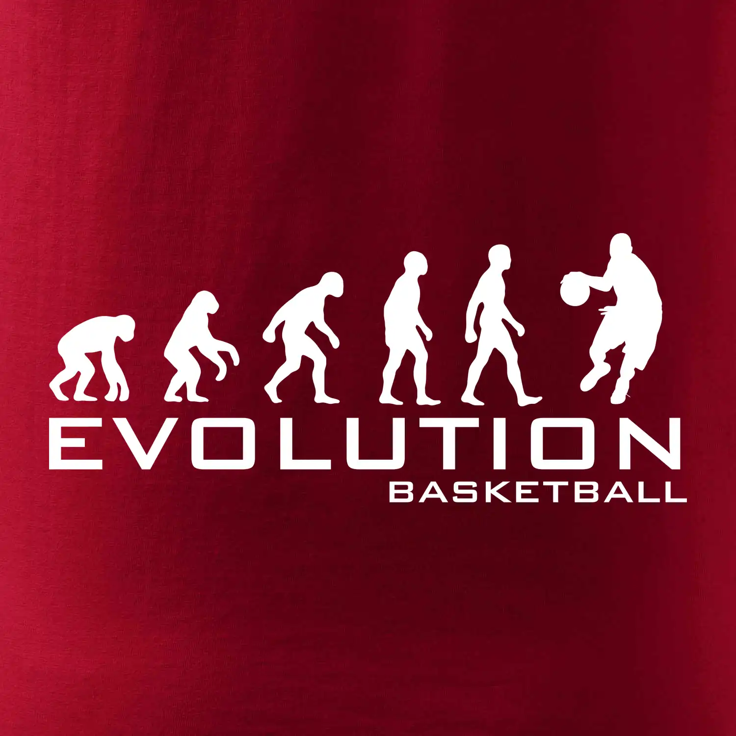 Evoluce Basketball
