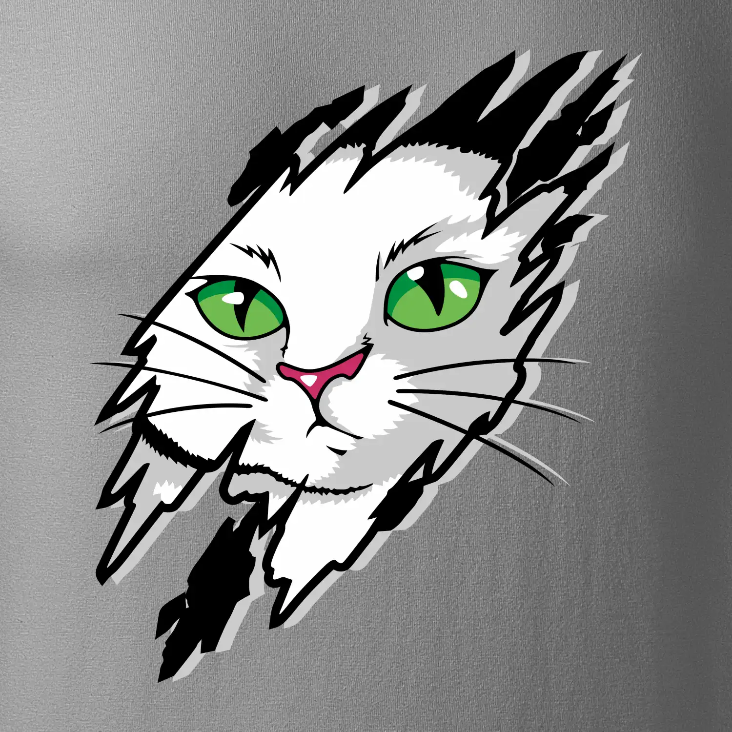 Kočka v roztrženém triku