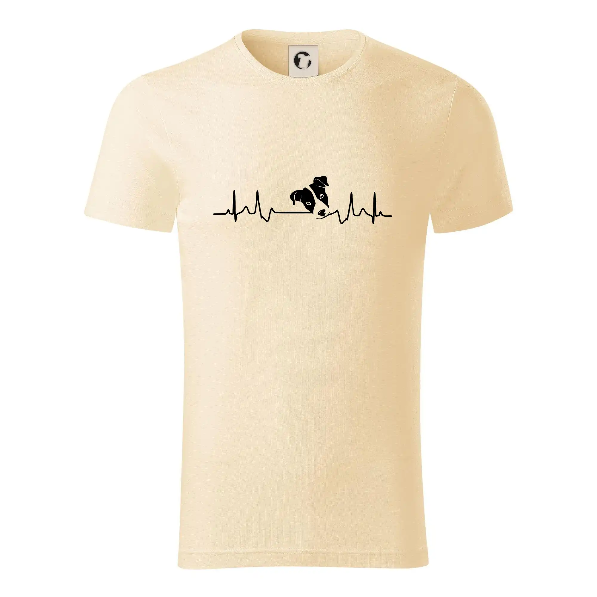 Jack Russell Terriér  - hlava