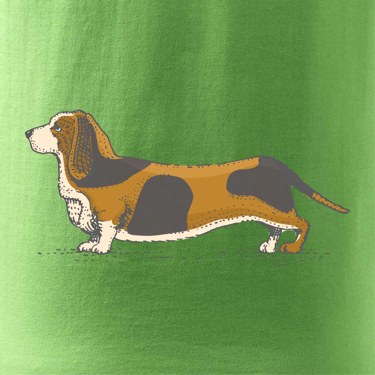 Vintage basset