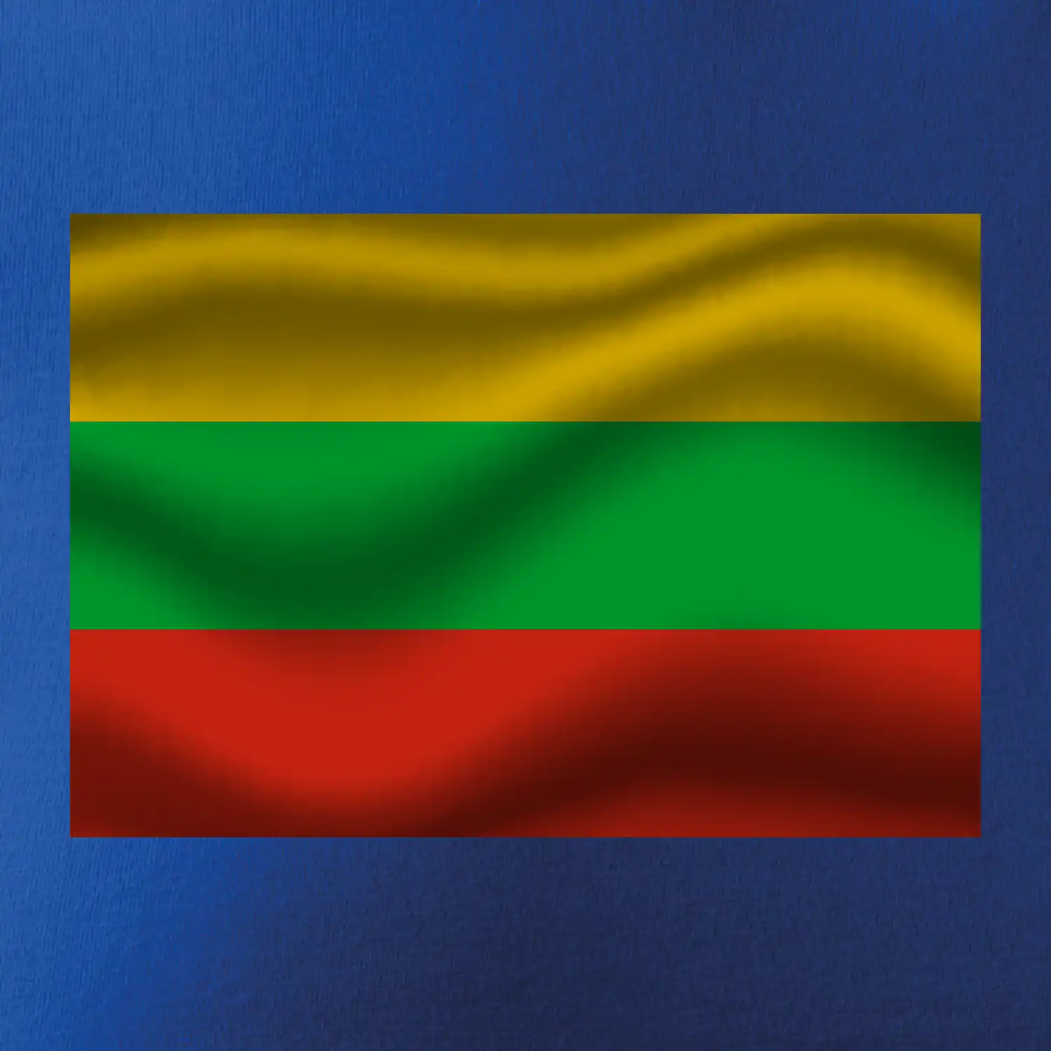 Litva vlajka obdélník
