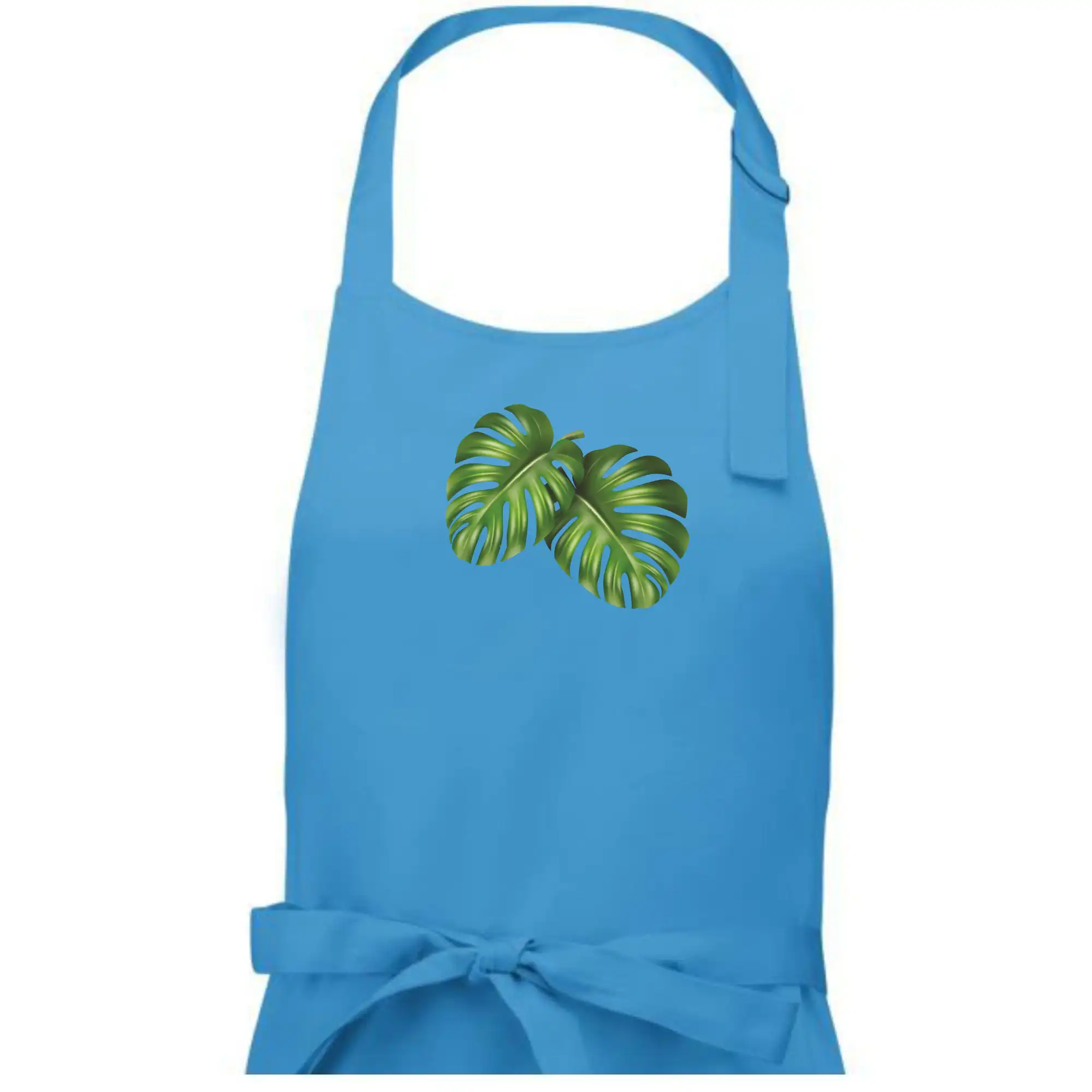 Monstera - dva listy
