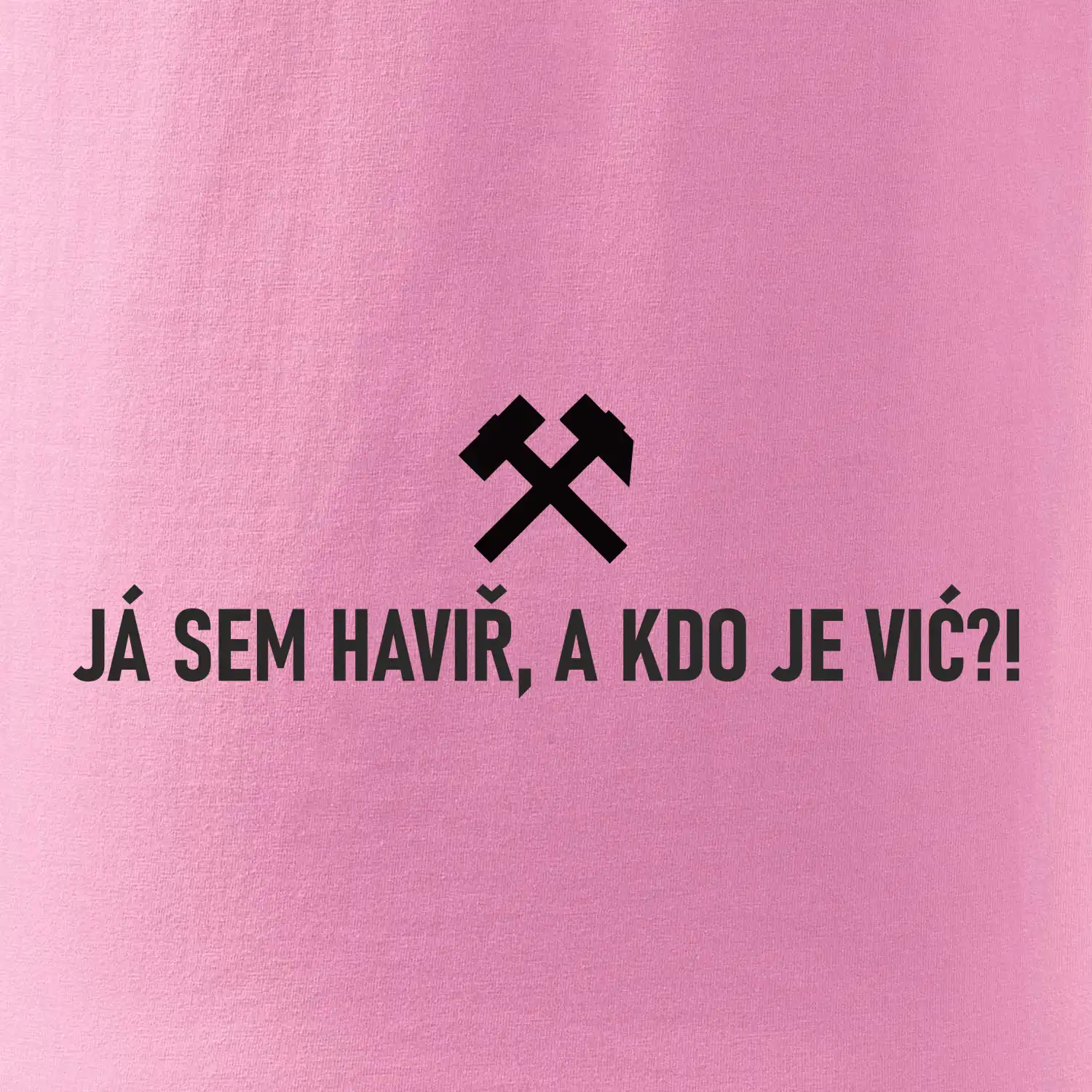 JÁ SEM HAVIŘ, A KDO JE VIĆ?!﻿