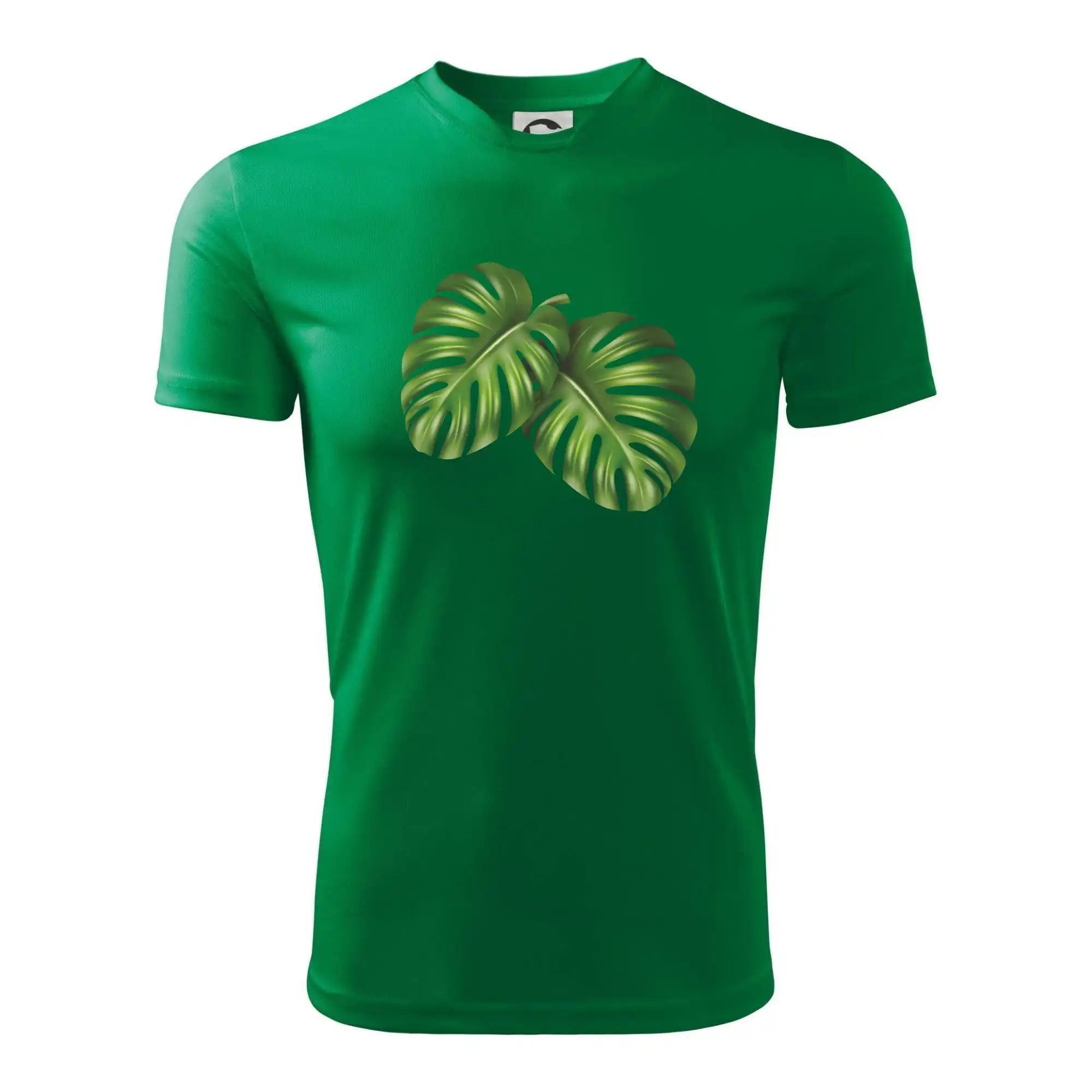Monstera - dva listy
