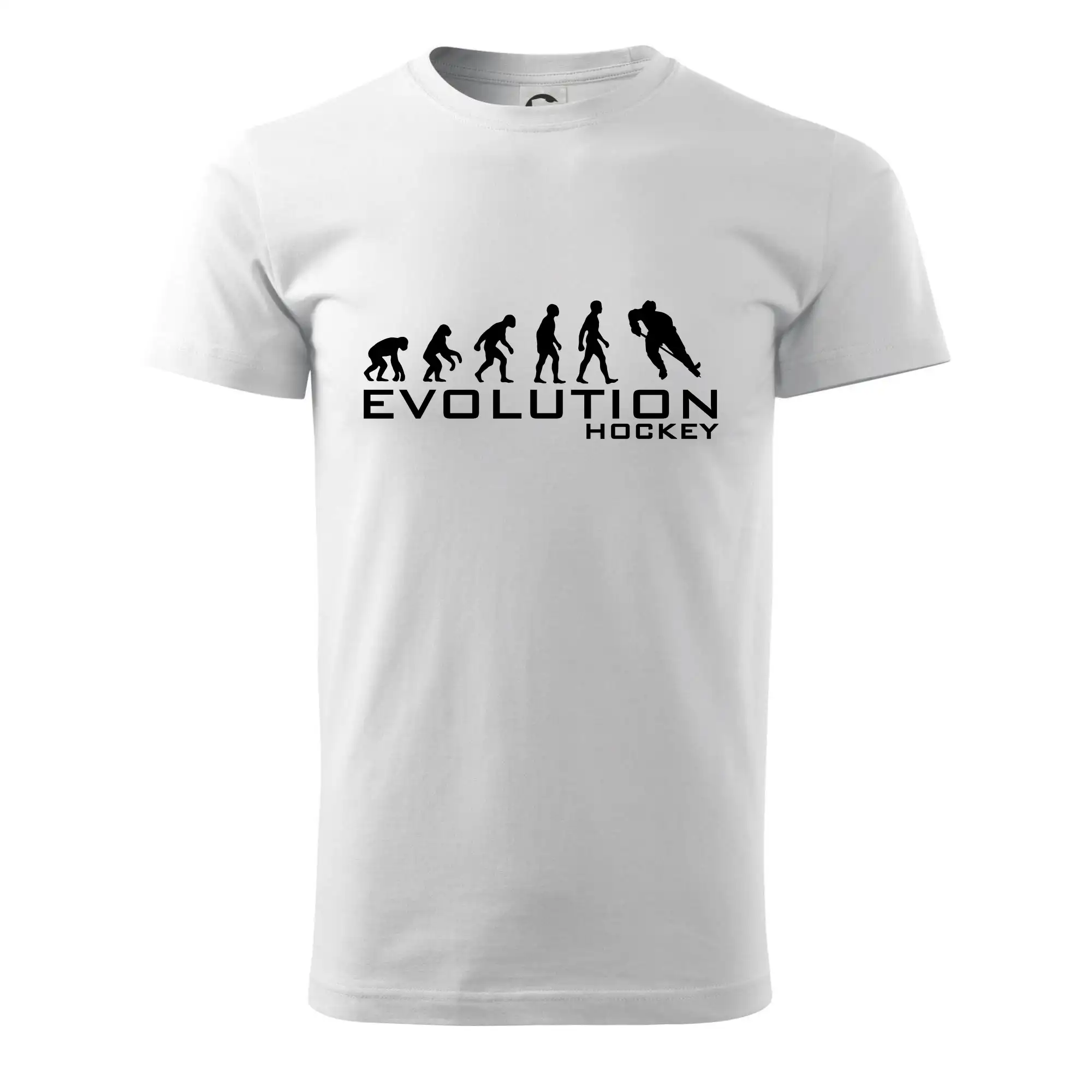 Evoluce Hockey - hráč