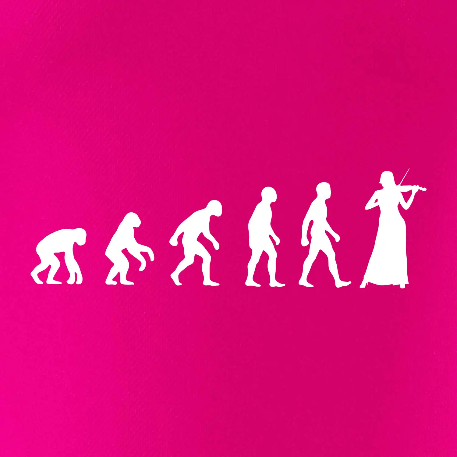 Evoluce houslistka