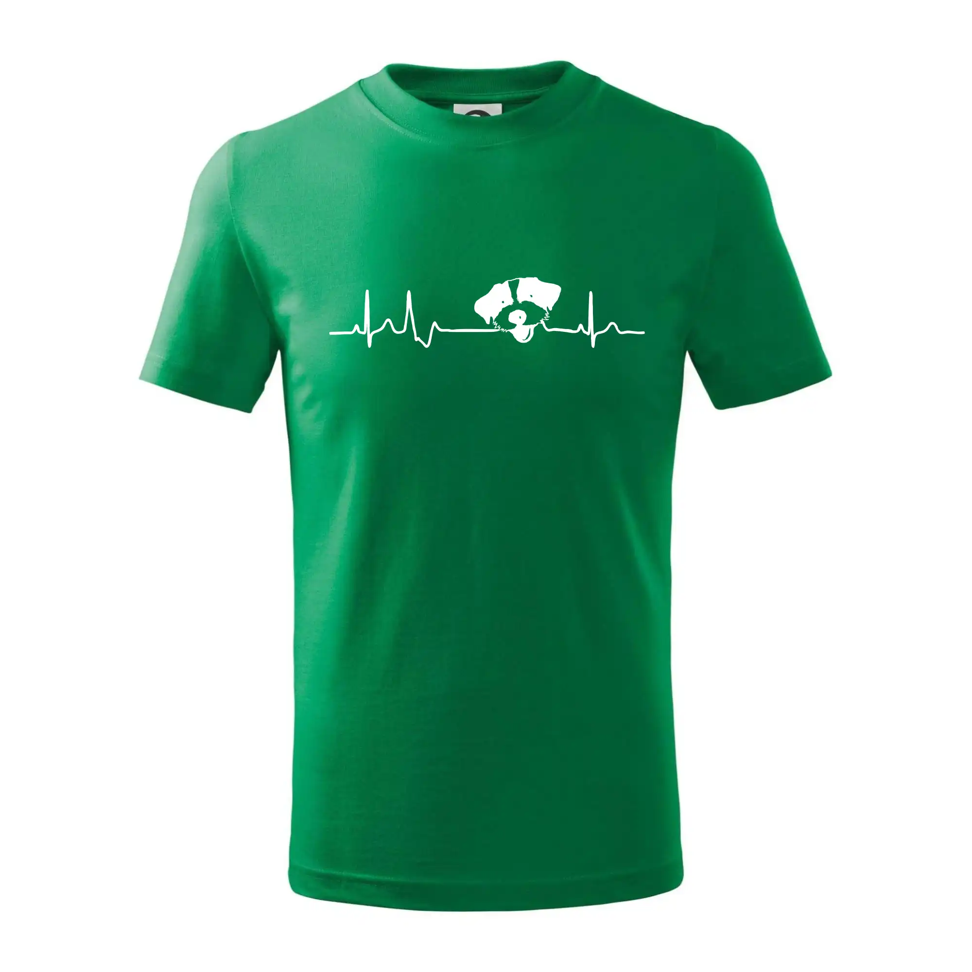 Jack Russell Terriér hrubosrstý Ekg