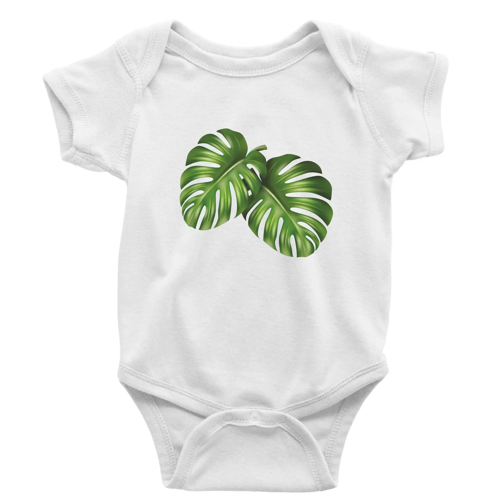 Monstera - dva listy