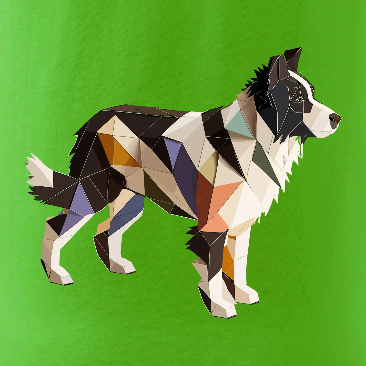 Border colie slepená z papíru