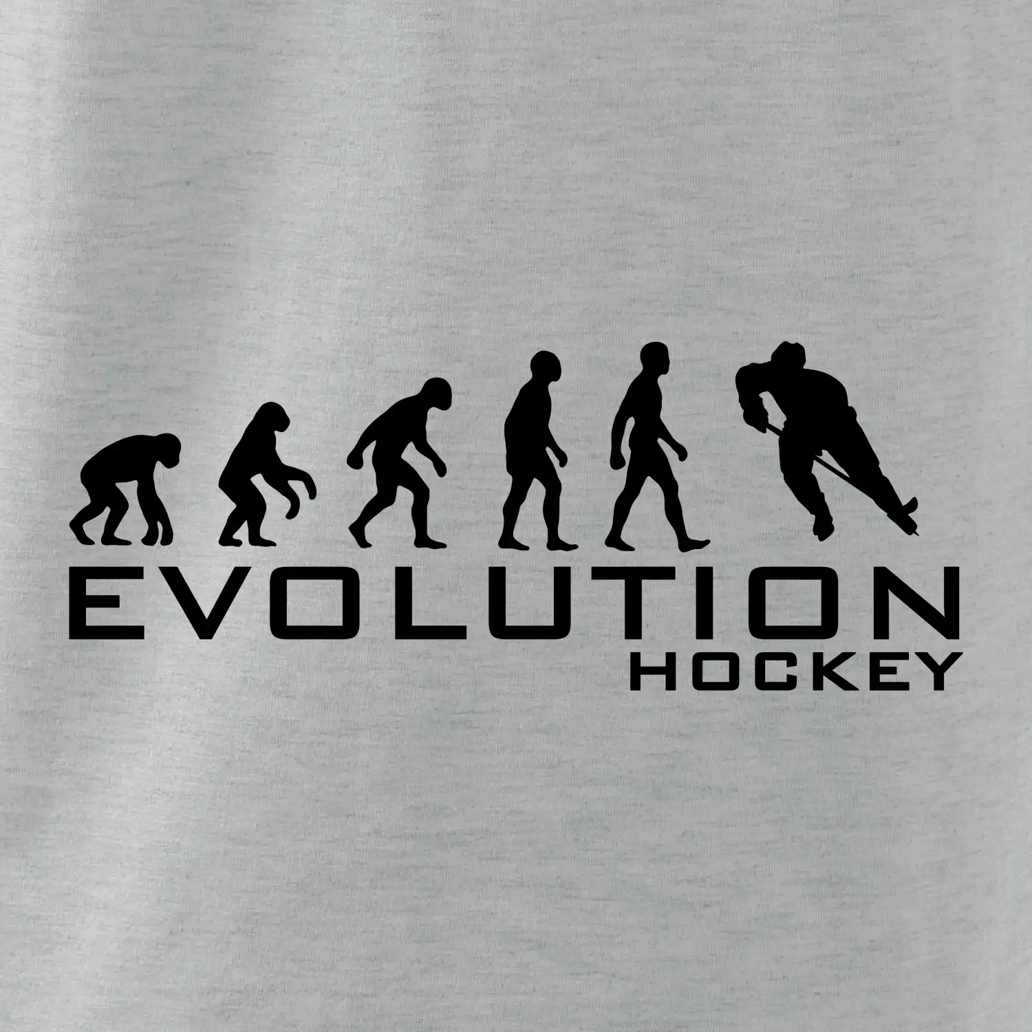 Evoluce Hockey - hráč