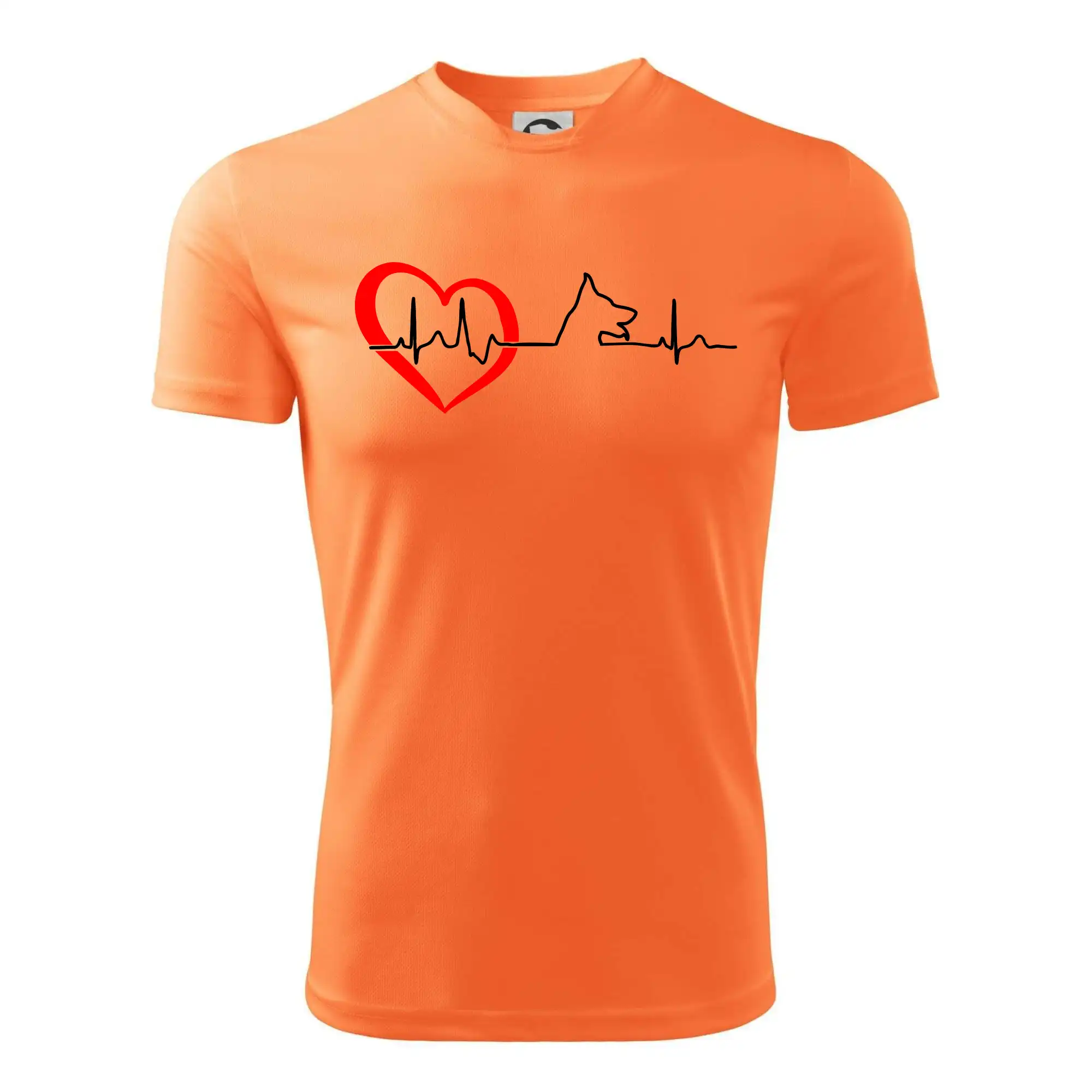 Německý ovčák ekg