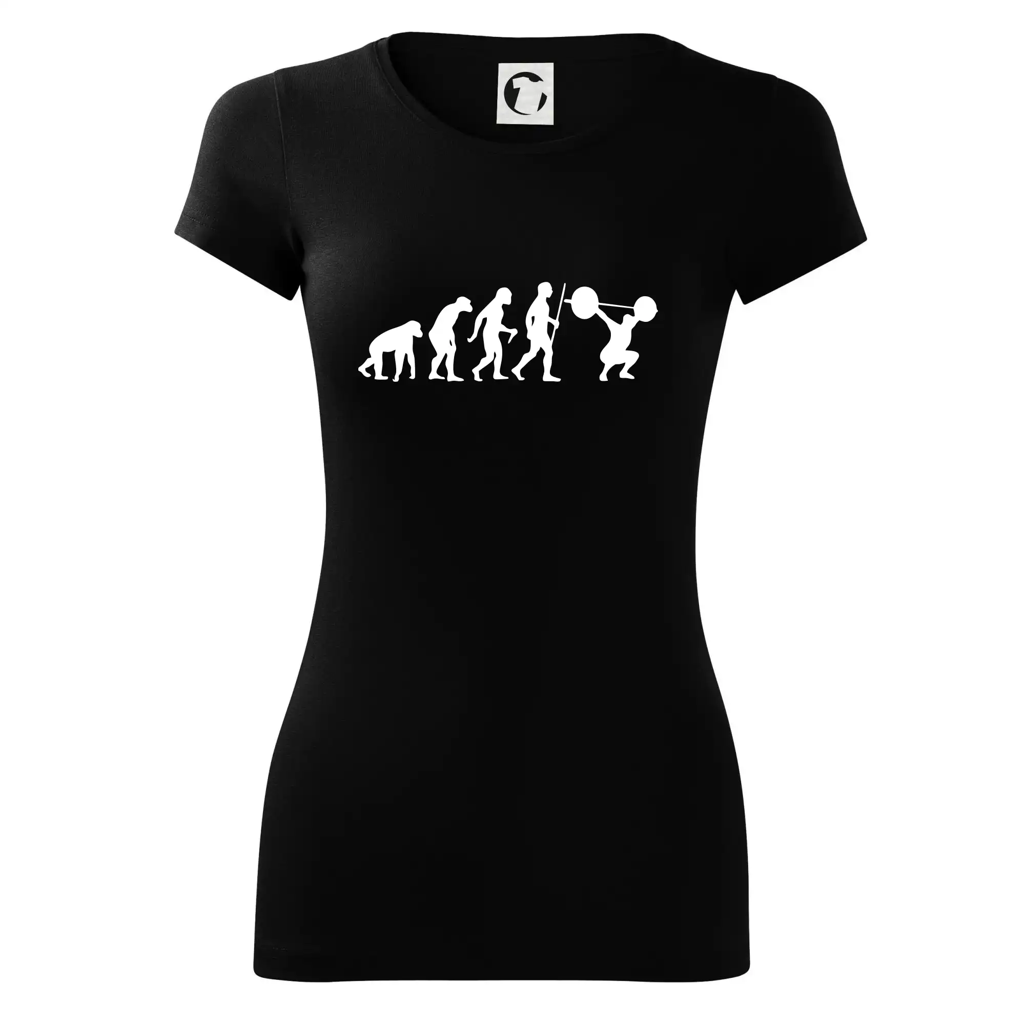 Evolution fitness