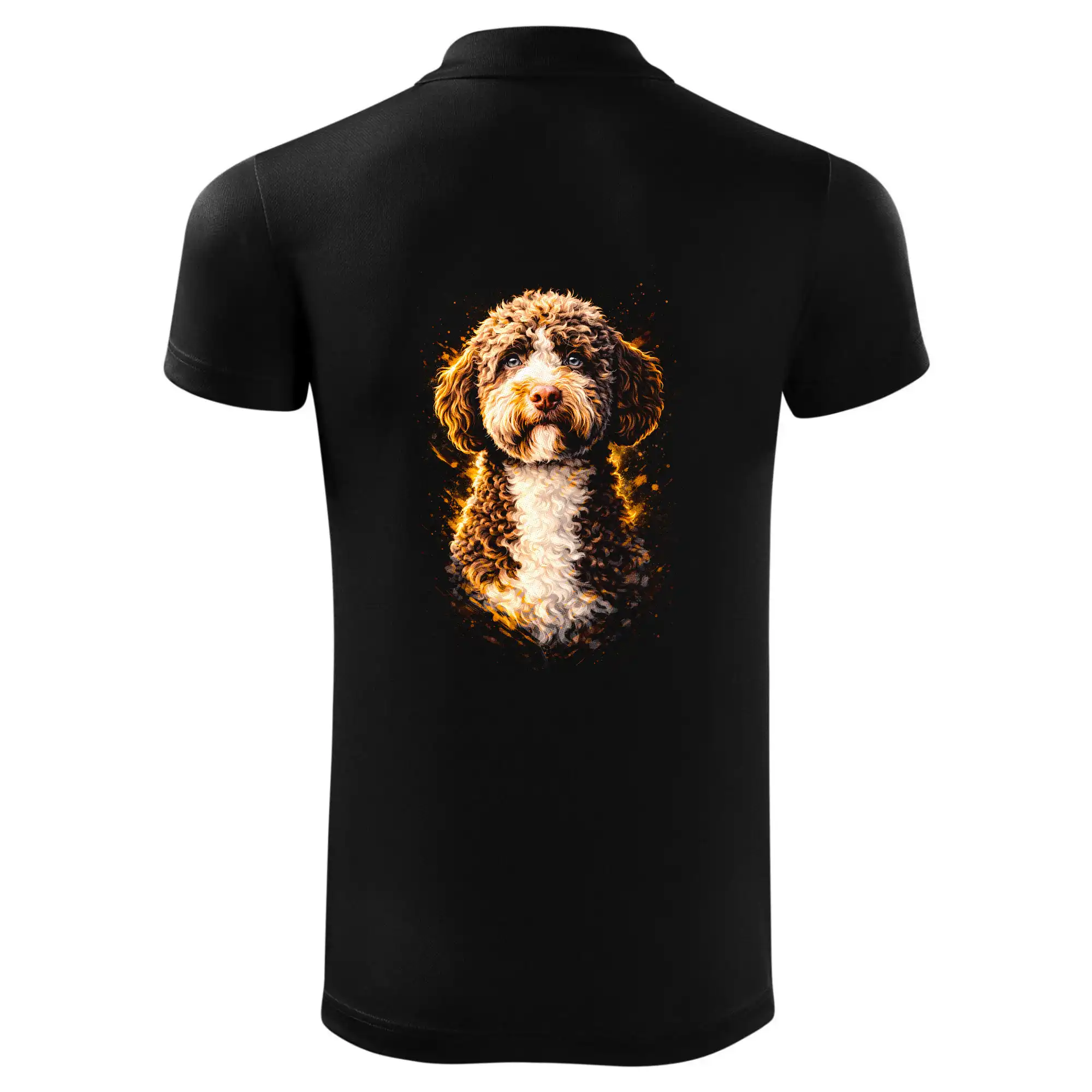 Obrázek polotón Lagotto Romagnolo