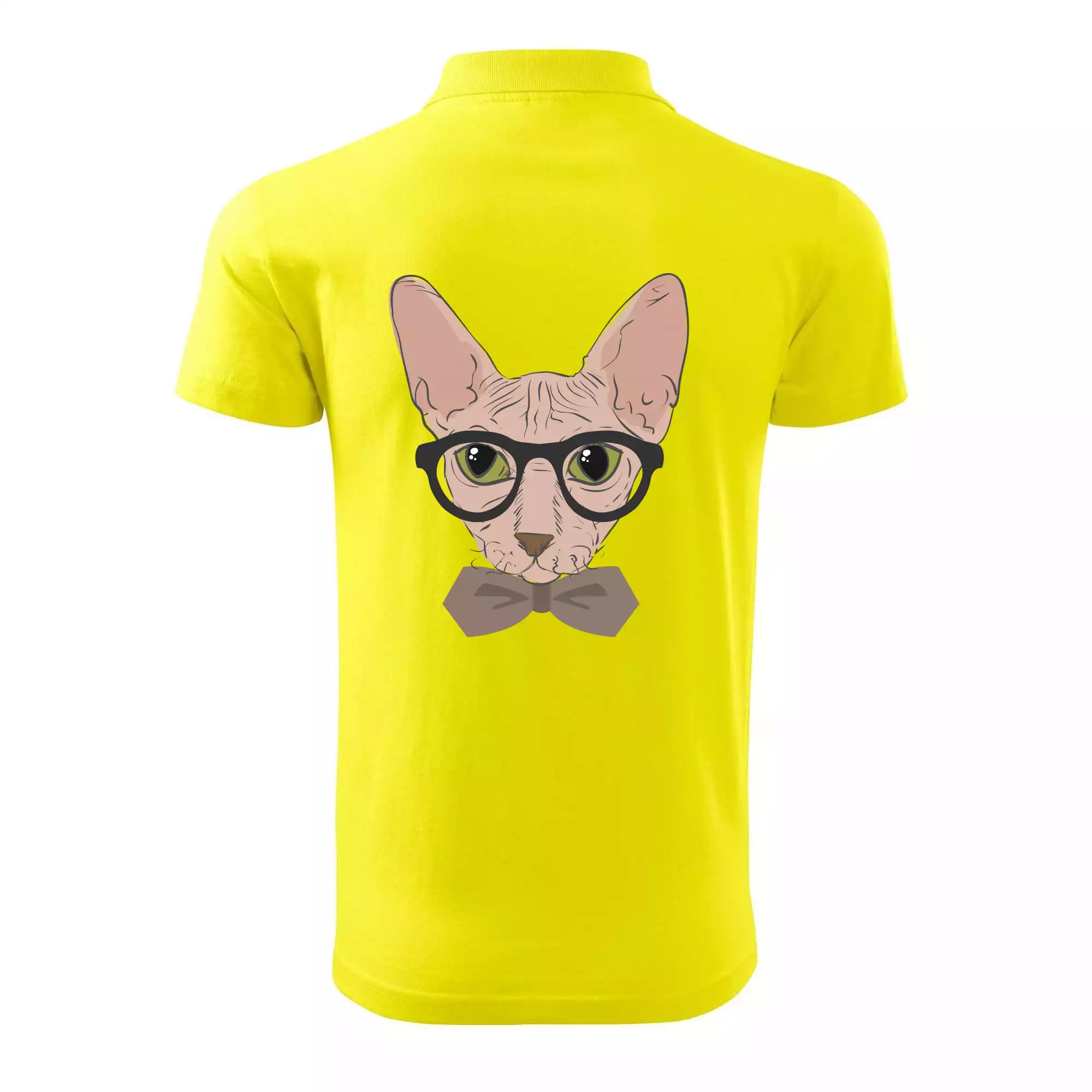 Hipster sphynx