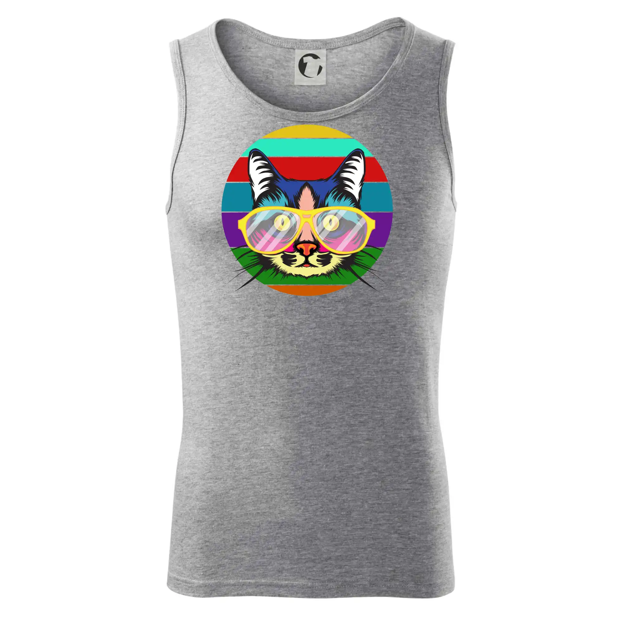 Kočka při barevném západu