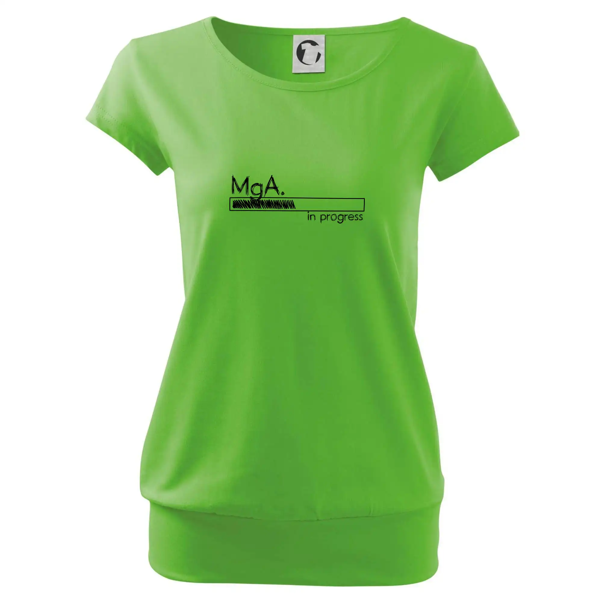 In progress titul MgA.  magistr / magistra umění