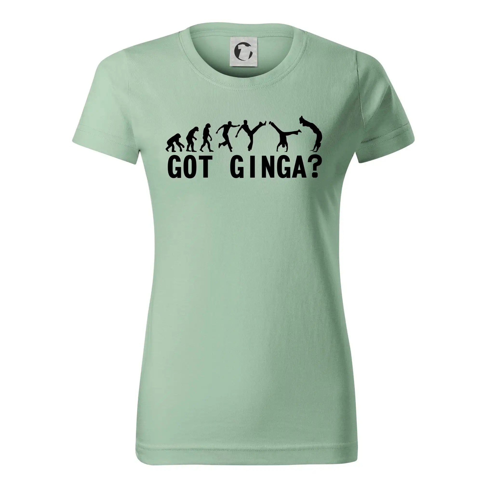 Capoeira - Got Ginga