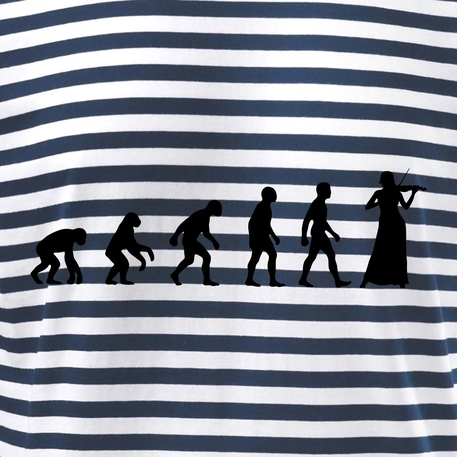 Evoluce houslistka