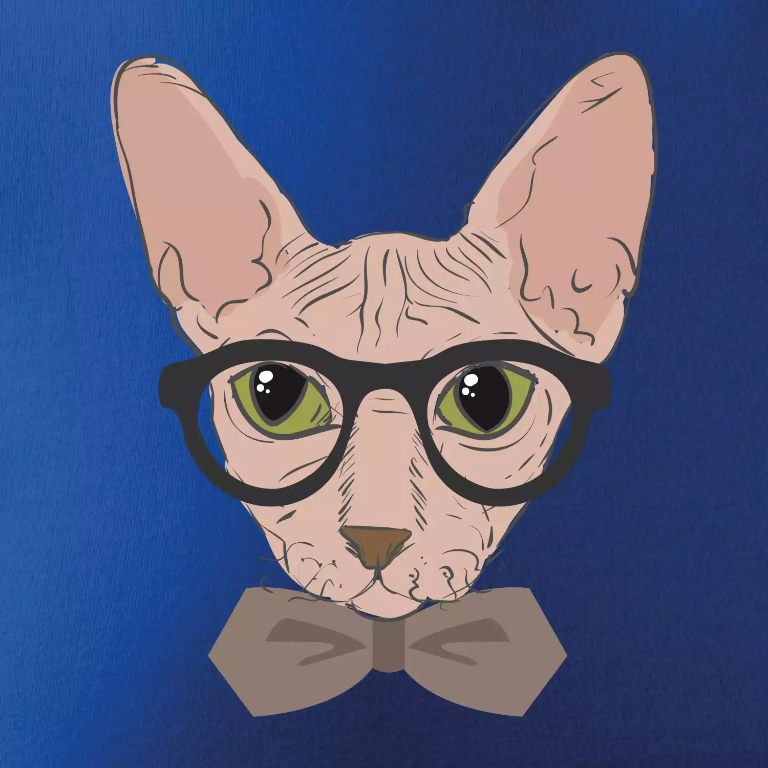 Hipster sphynx