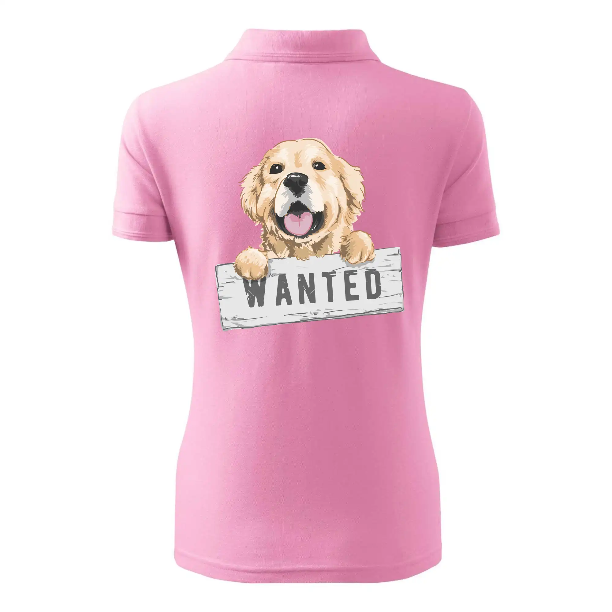 Zlatý retriever - štěně wanted
